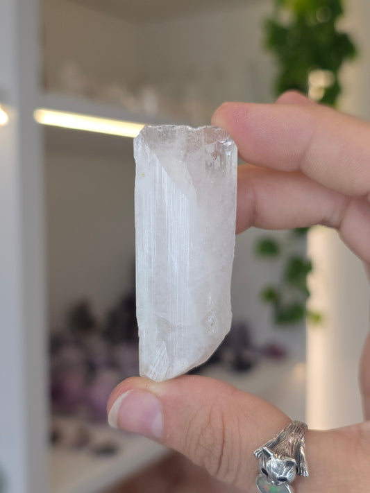Danburites (some with Calcite) from the Aurora Mine, Charcas, San Luis Potosi, Mexico