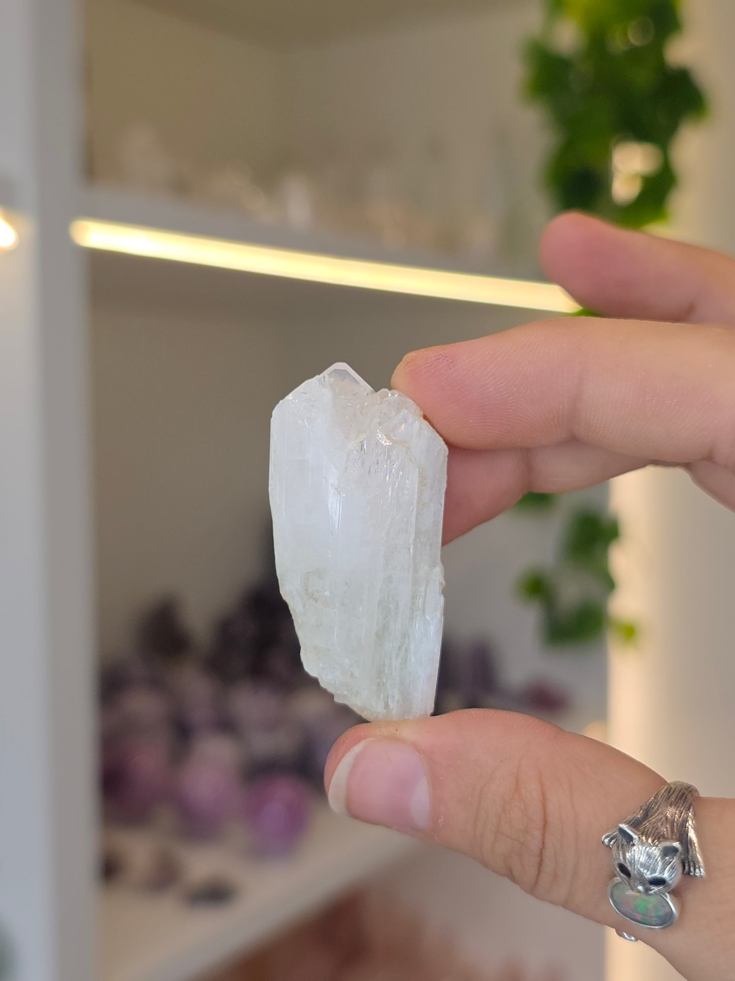 Danburites (some with Calcite) from the Aurora Mine, Charcas, San Luis Potosi, Mexico