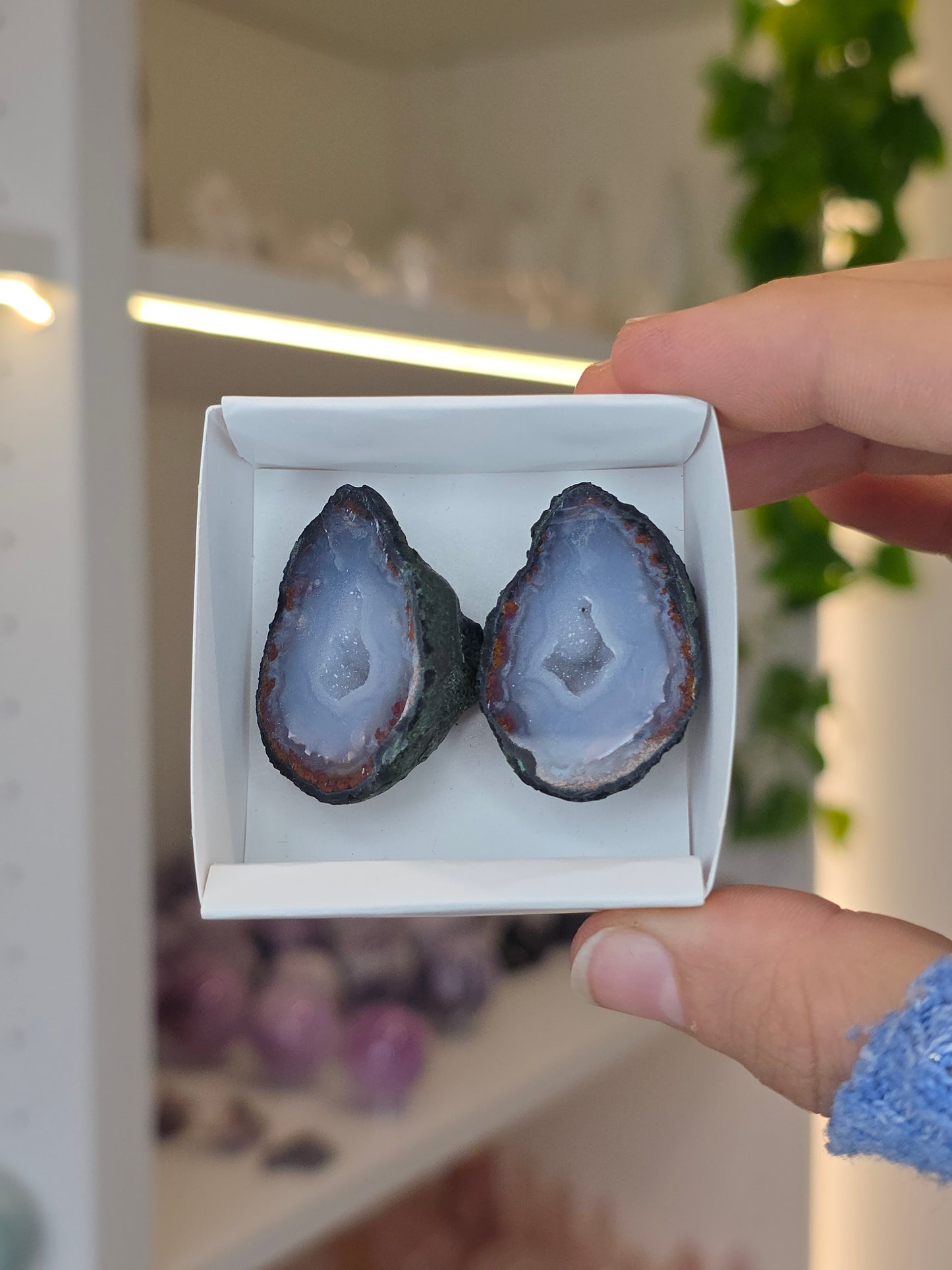 Tabasco Agate Geode Pairs from Tabasco, Zacatecas, Mexico