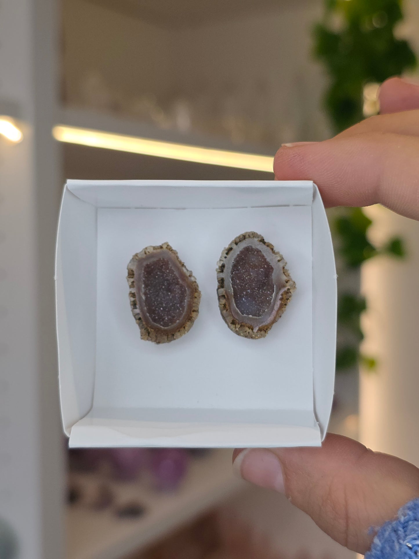 Tabasco Agate Geode Pairs from Tabasco, Zacatecas, Mexico