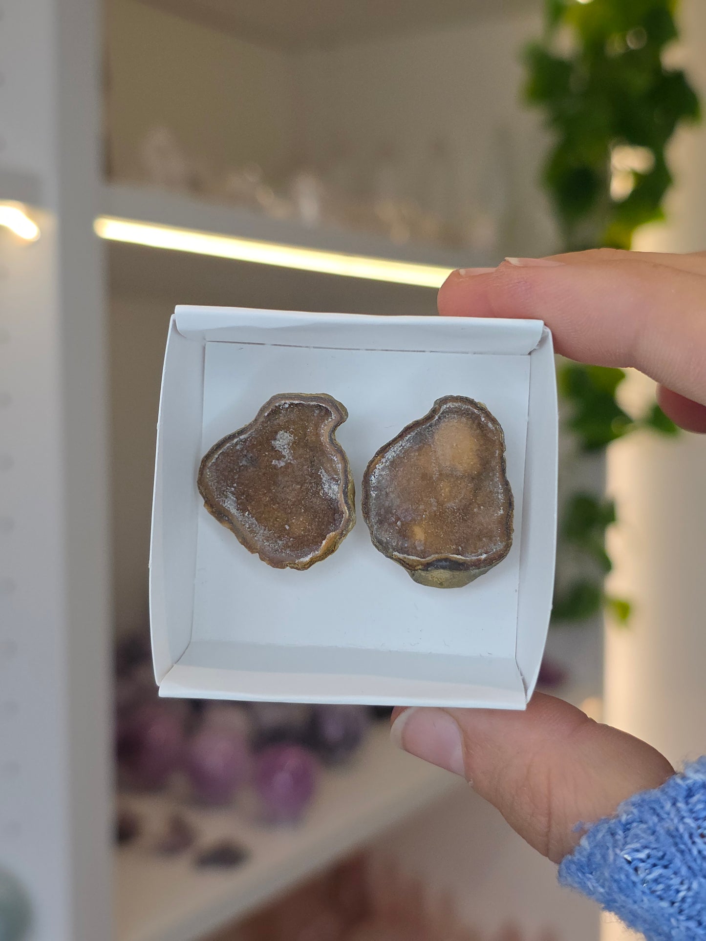 Tabasco Agate Geode Pairs from Tabasco, Zacatecas, Mexico