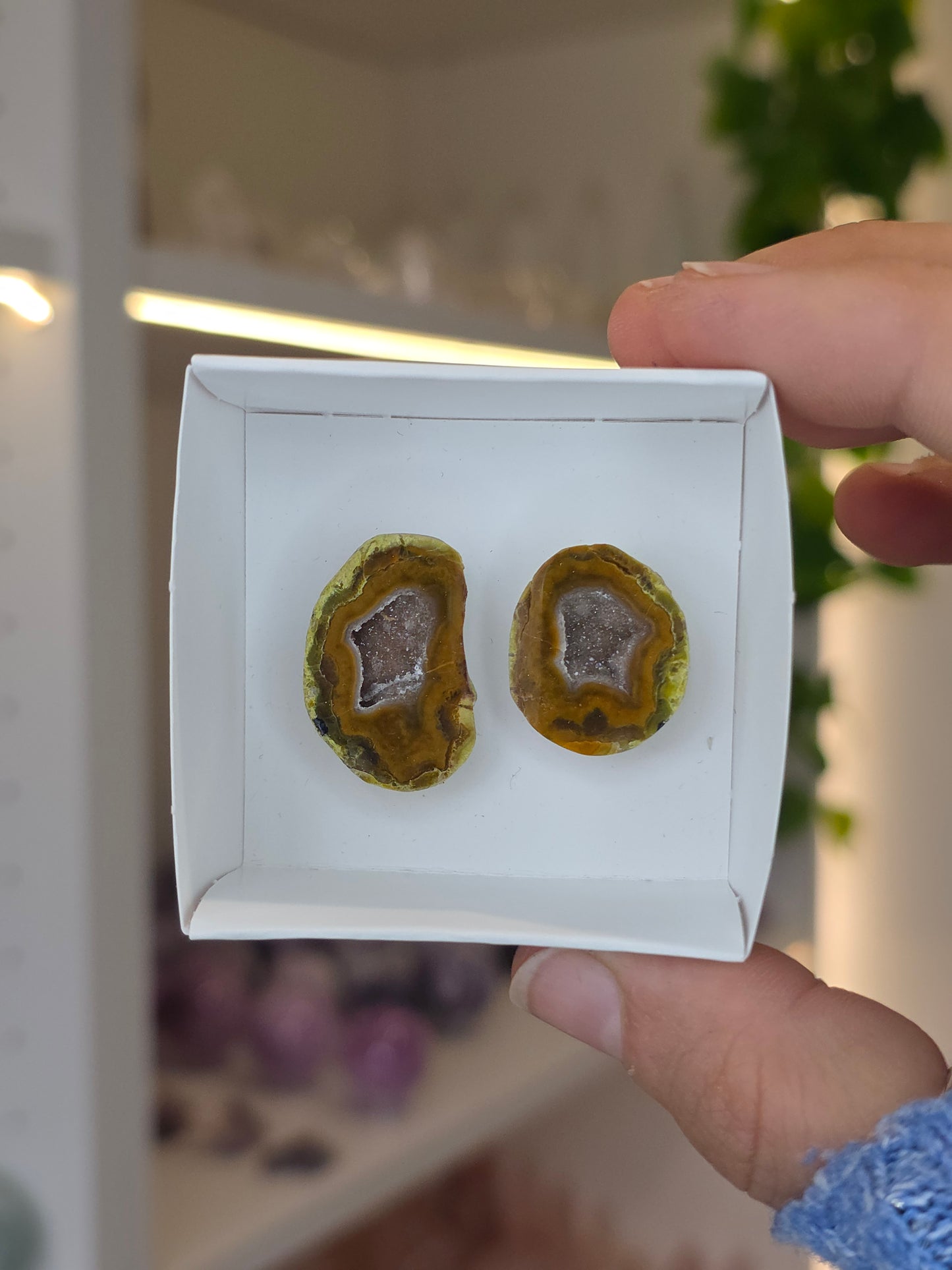 Tabasco Agate Geode Pairs from Tabasco, Zacatecas, Mexico