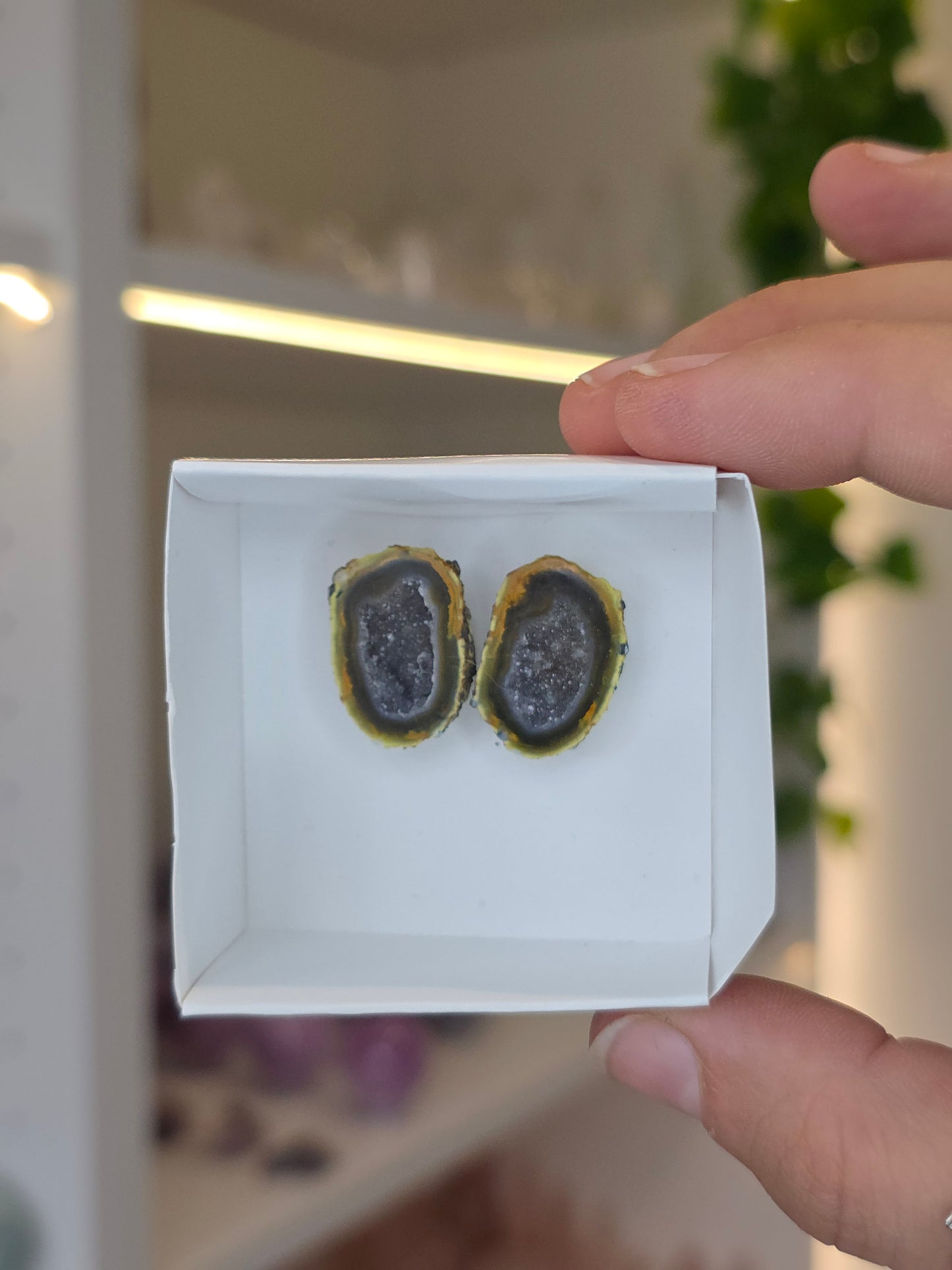Tabasco Agate Geode Pairs from Tabasco, Zacatecas, Mexico