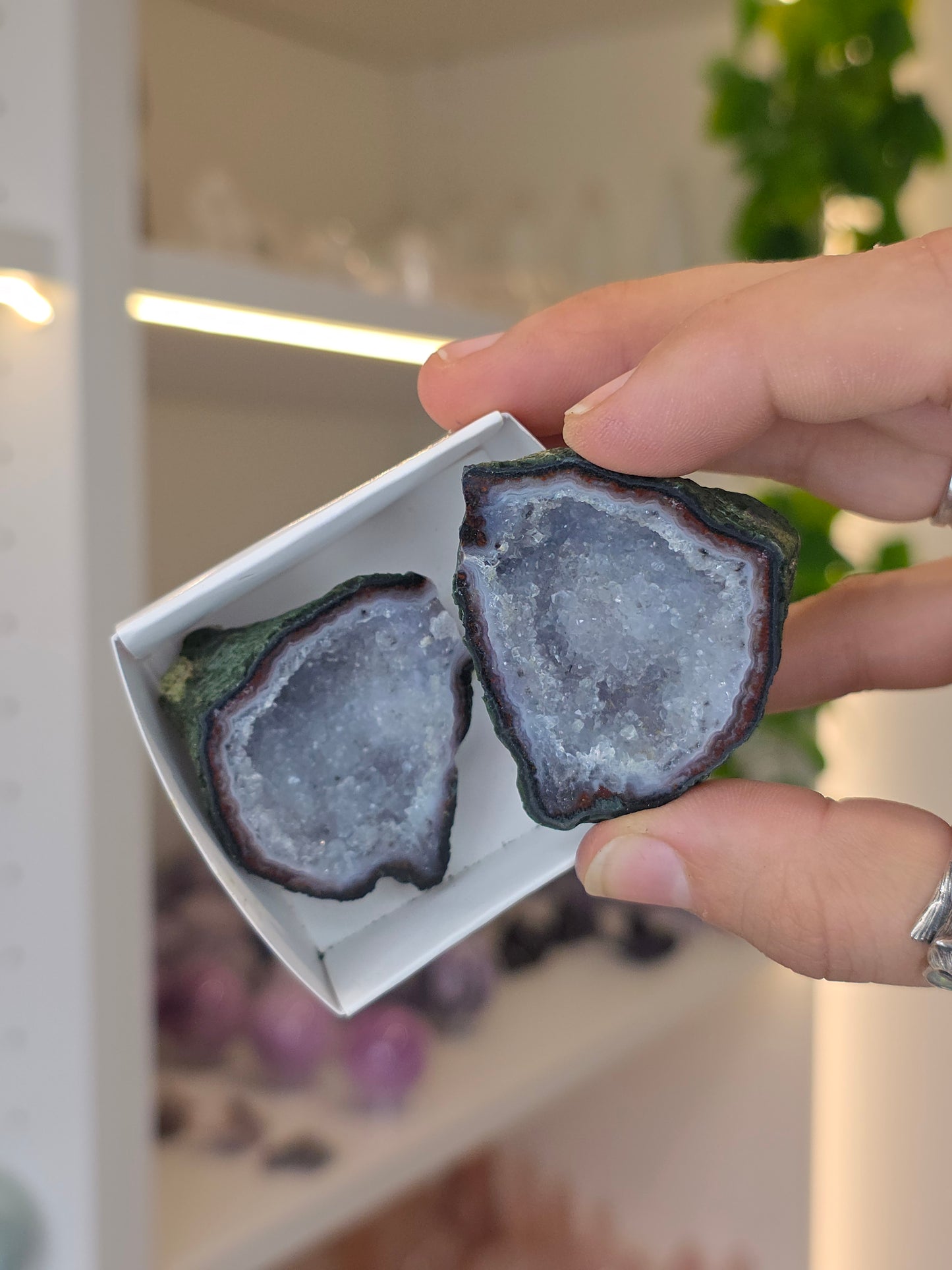 Tabasco Agate Geode Pairs from Tabasco, Zacatecas, Mexico