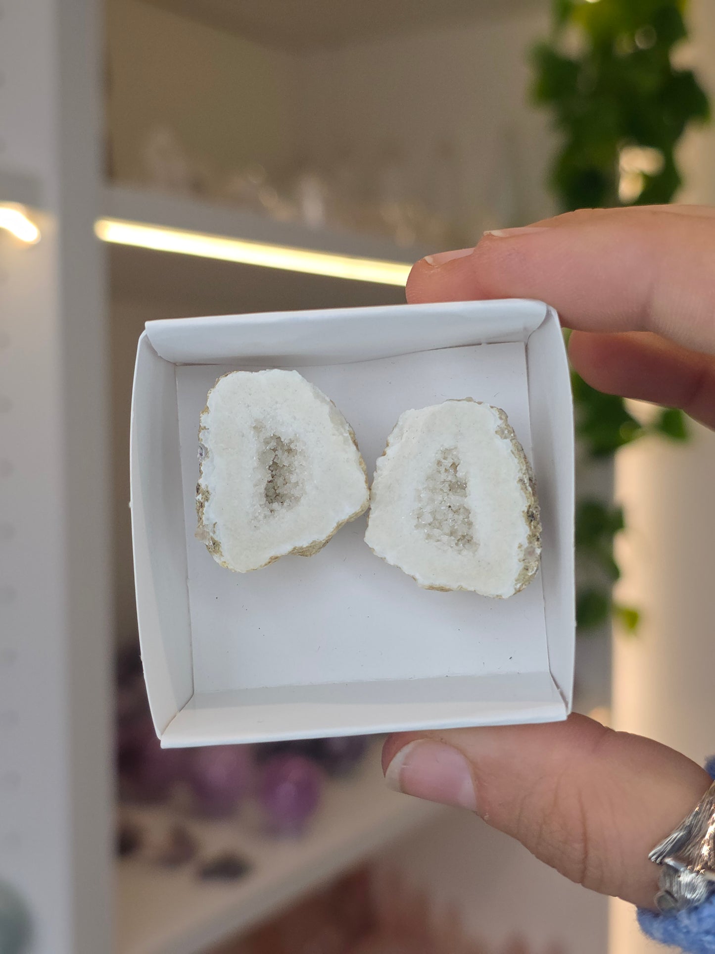 Tabasco Agate Geode Pairs from Tabasco, Zacatecas, Mexico