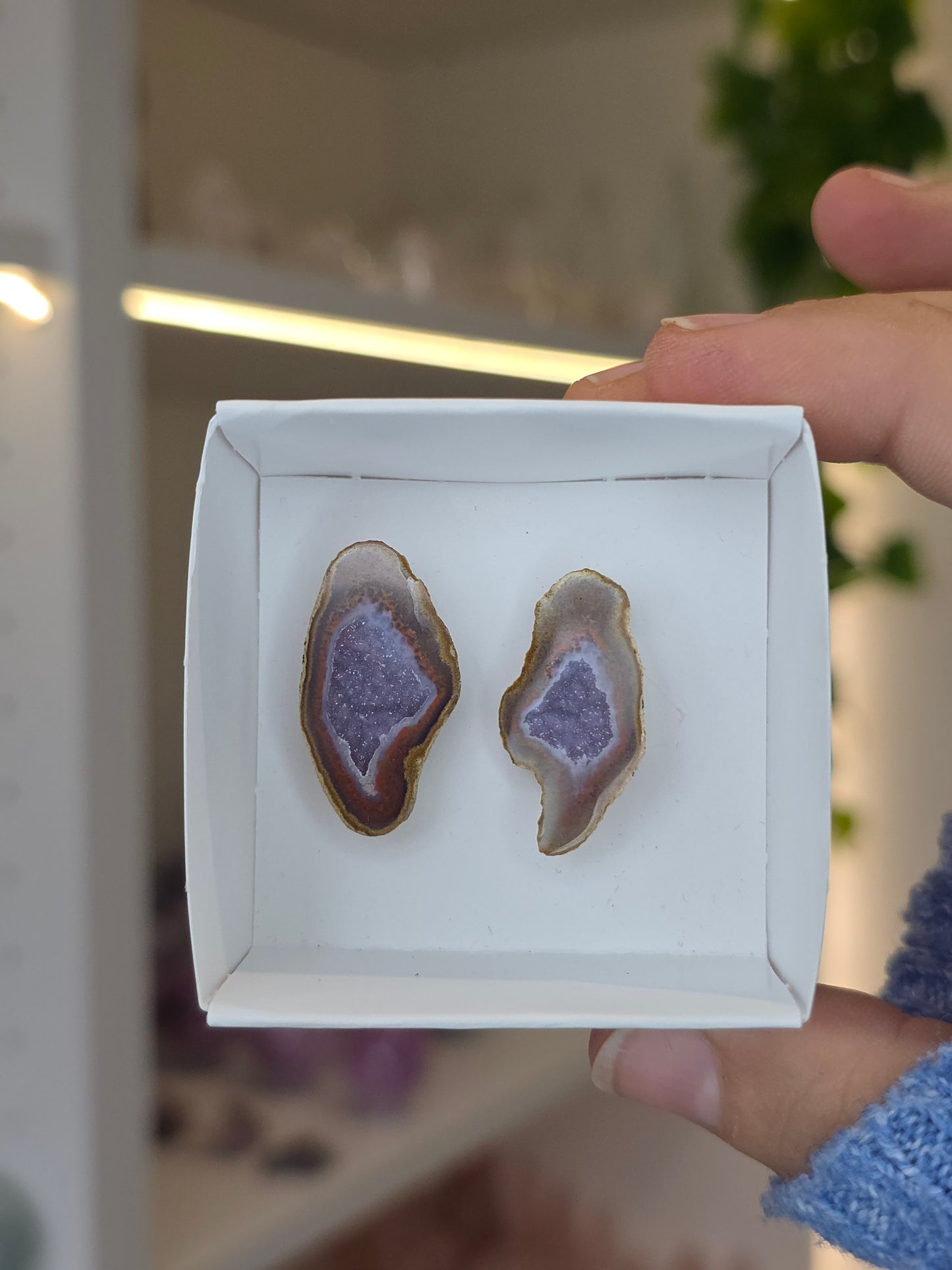 Tabasco Agate Geode Pairs from Tabasco, Zacatecas, Mexico