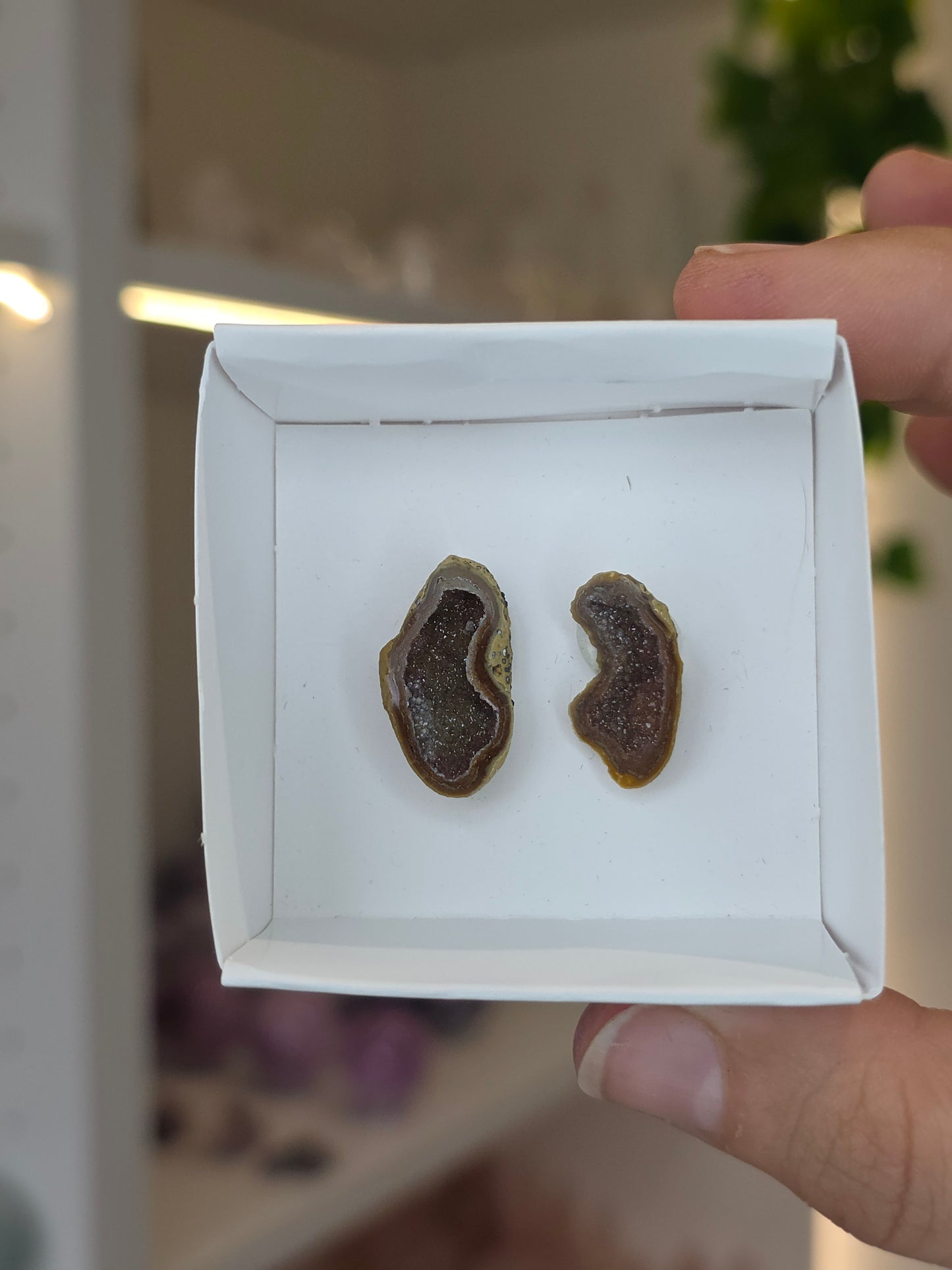 Tabasco Agate Geode Pairs from Tabasco, Zacatecas, Mexico
