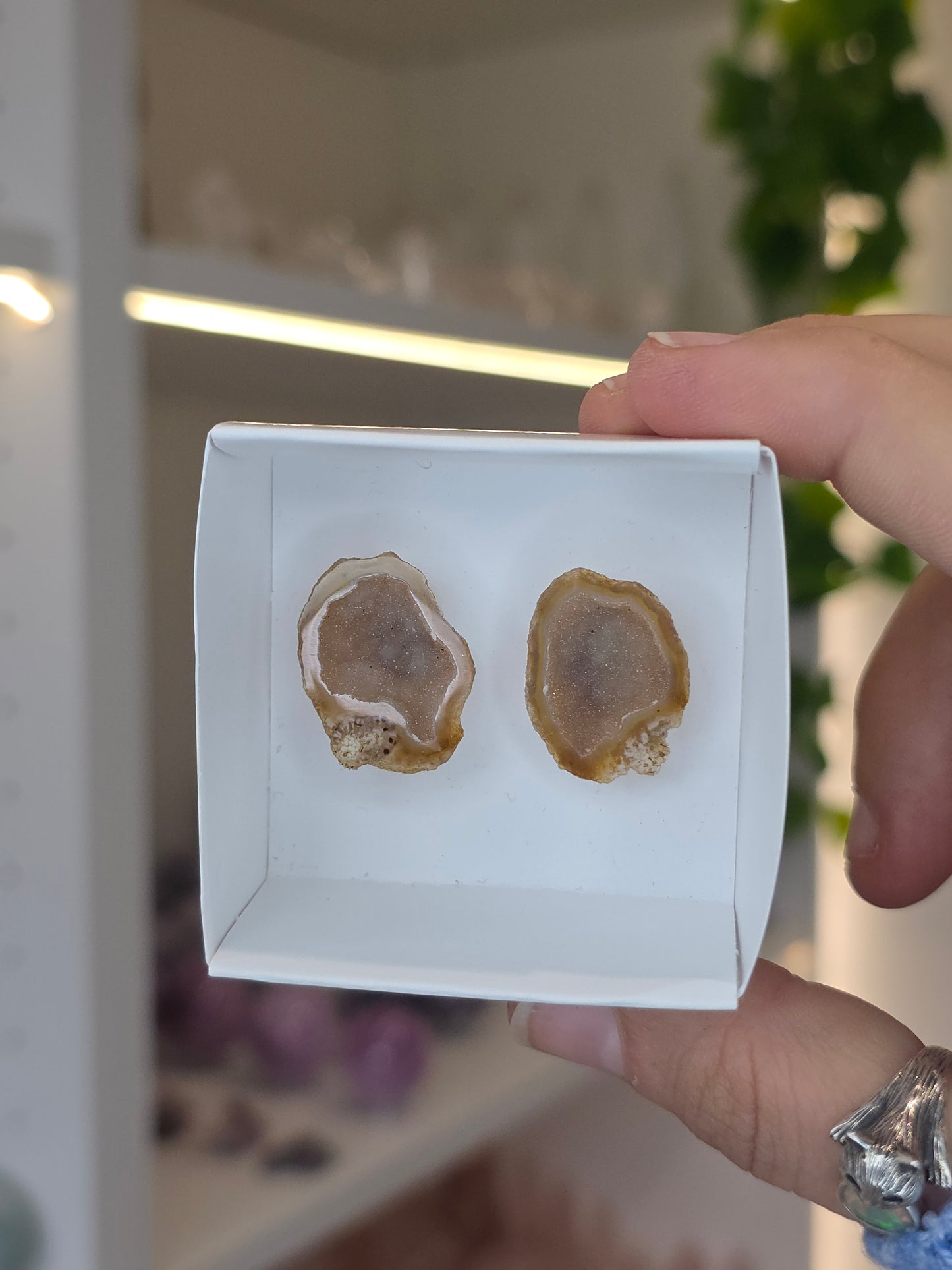 Tabasco Agate Geode Pairs from Tabasco, Zacatecas, Mexico