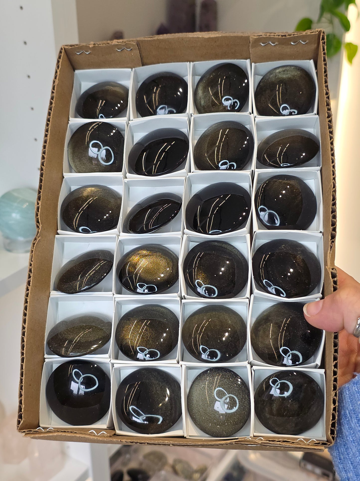 High Grade Gold Sheen Obsidian Round Palms (Cookies, Flats) from Hidalgo, Mexico