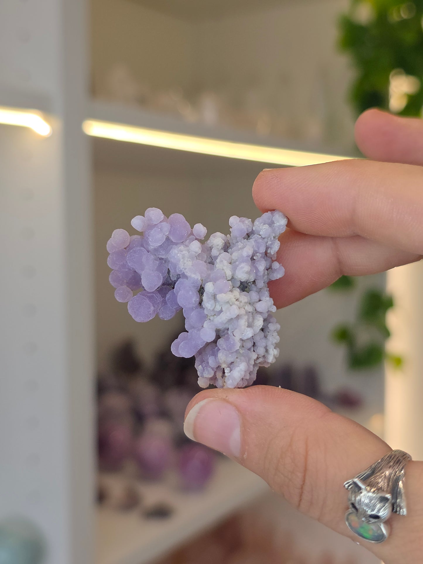 Indonesian Grape Agate Specimens