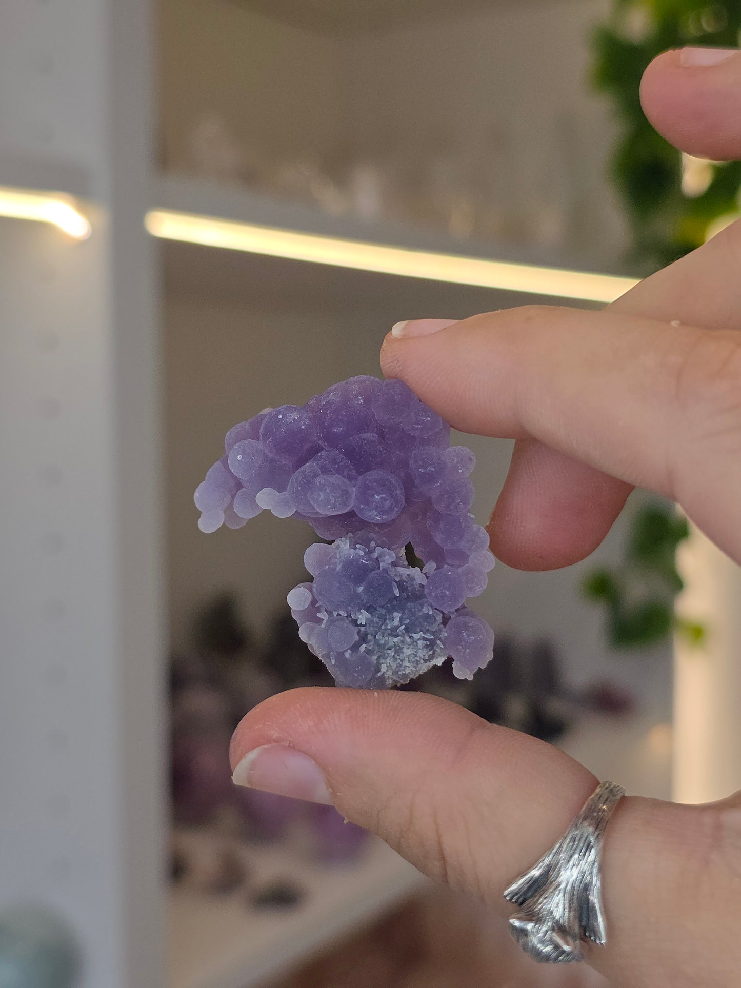 Indonesian Grape Agate Specimens