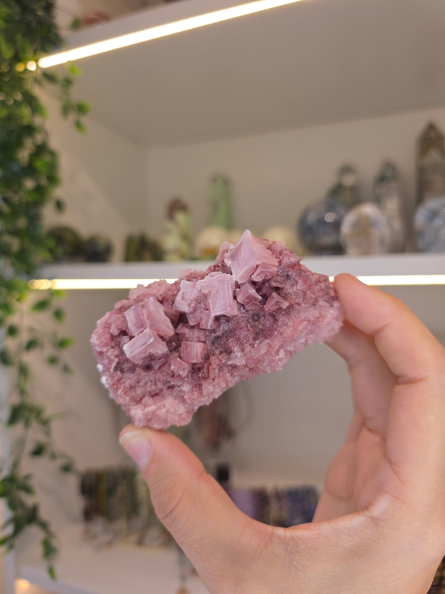 Raspberry Halite from Searles Lake, California - H
