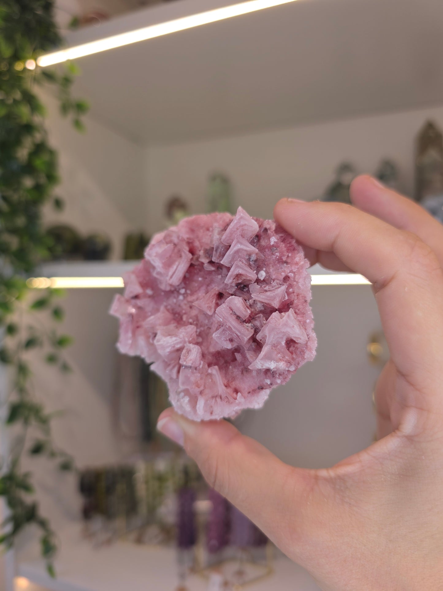 Raspberry Halite from Searles Lake, California - E