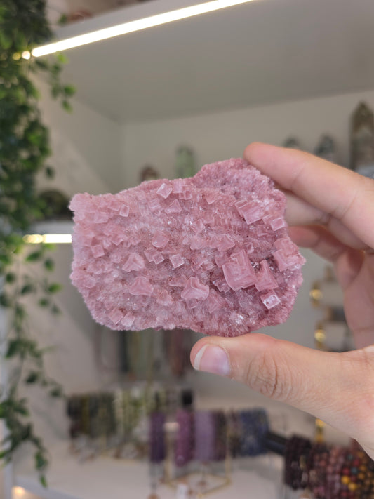 Raspberry Halite from Searles Lake, California - F