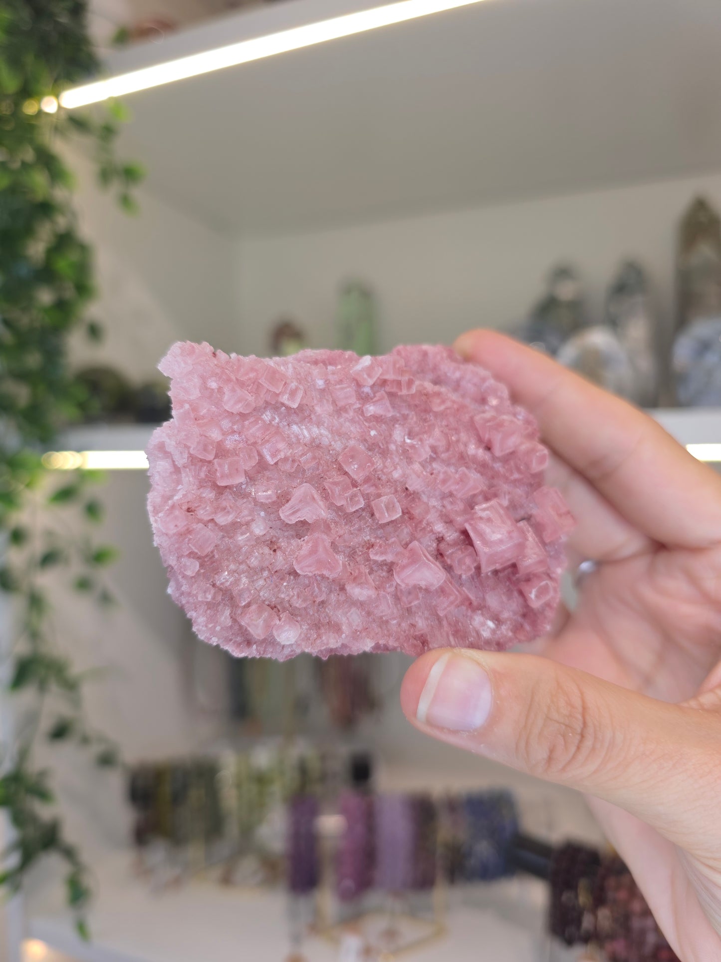 Raspberry Halite from Searles Lake, California - F