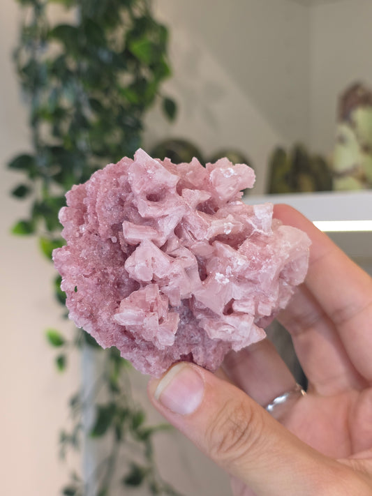 Raspberry Halite from Searles Lake, California - G