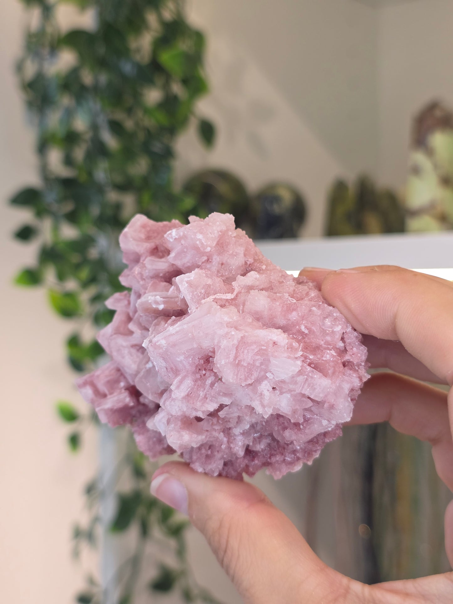 Raspberry Halite from Searles Lake, California - G