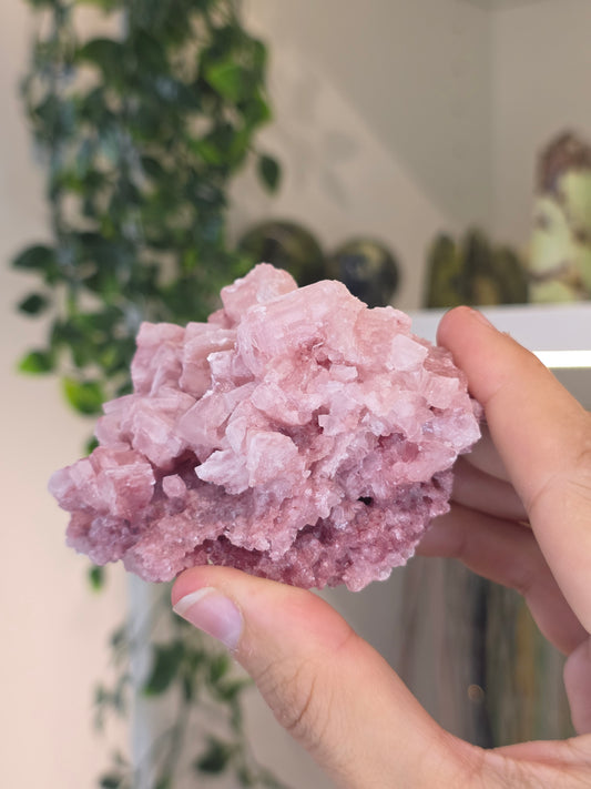 Raspberry Halite from Searles Lake, California - G