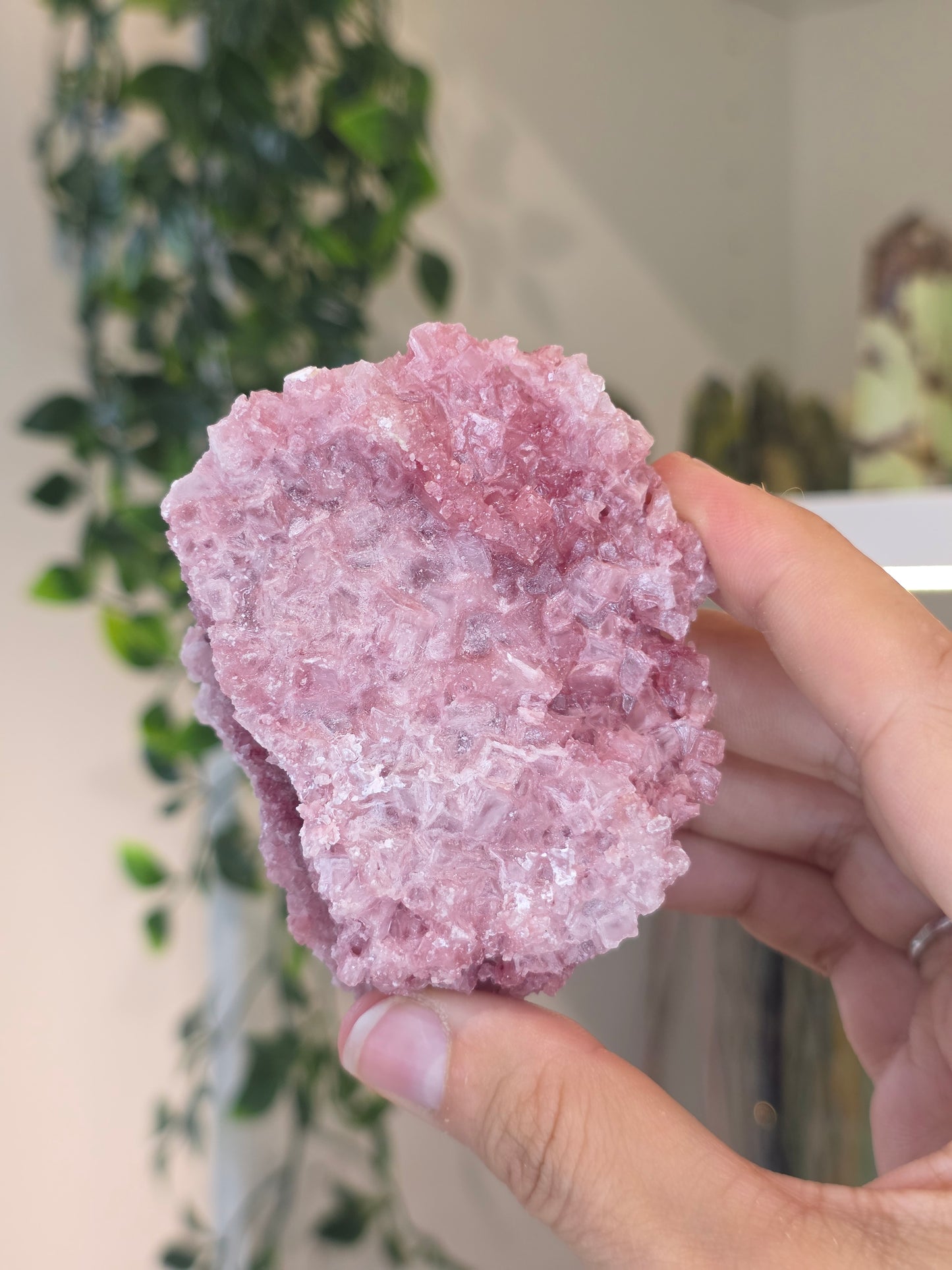 Raspberry Halite from Searles Lake, California - G