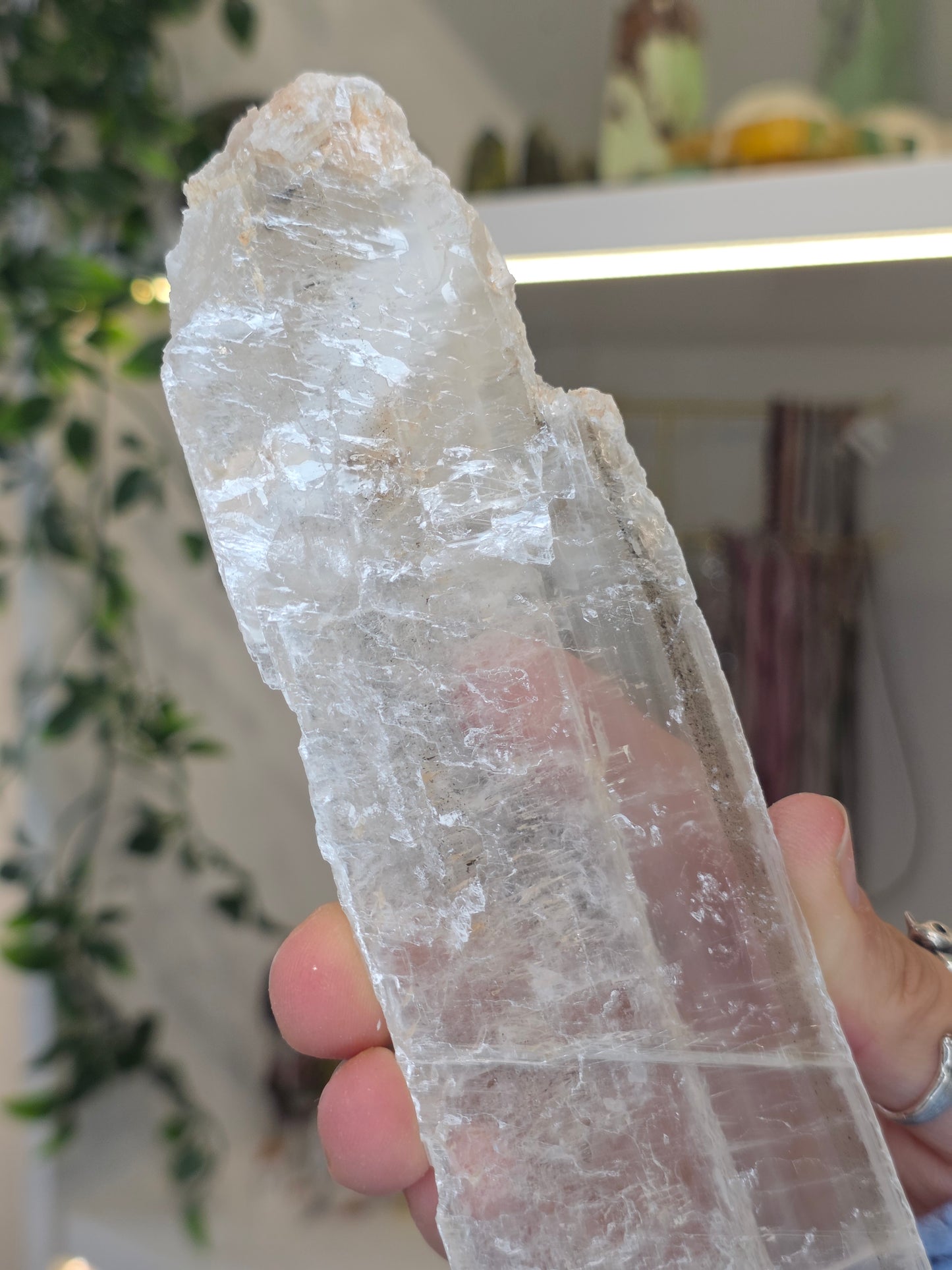 Raw Selenite Slice from Mexico - B