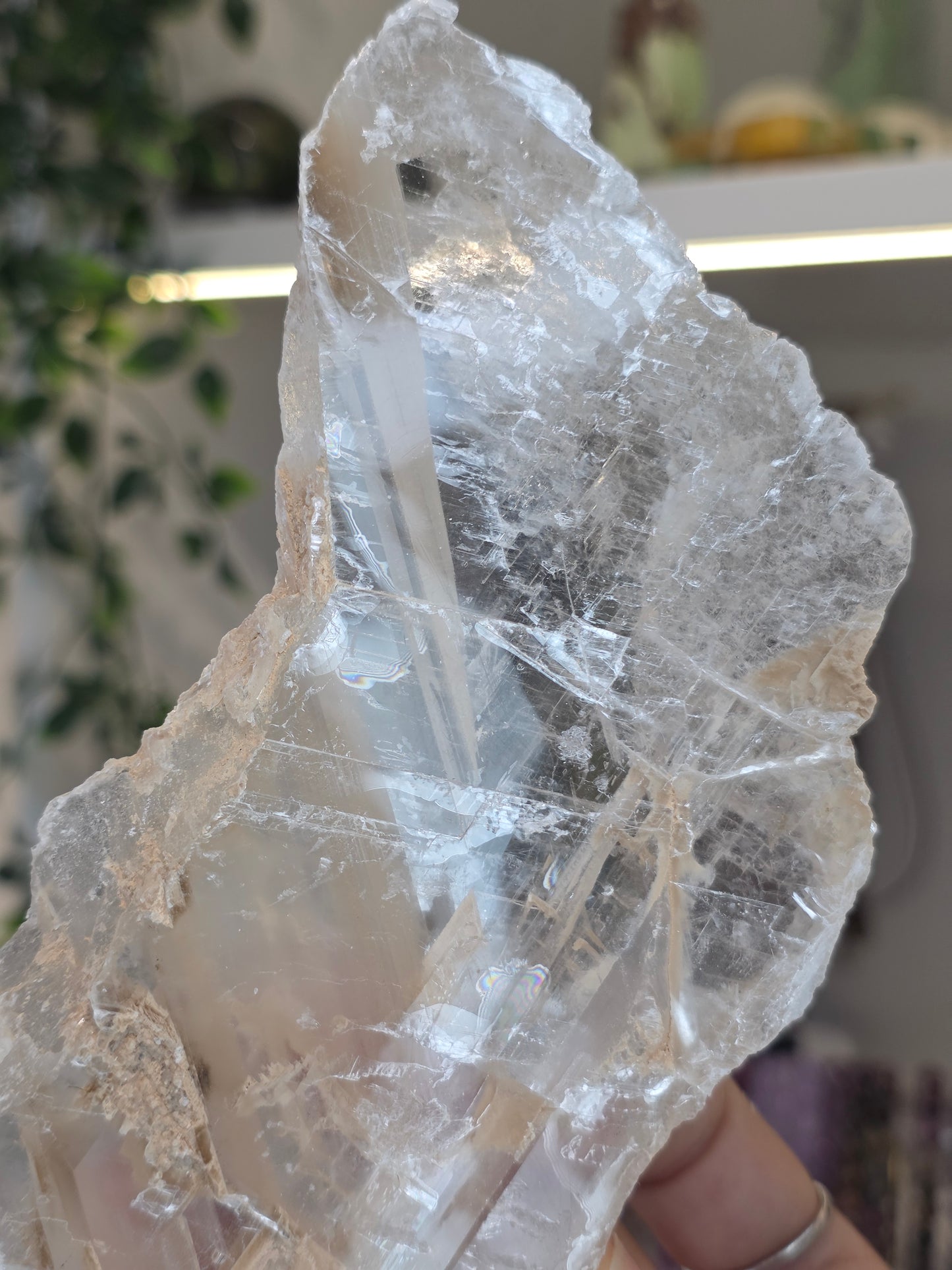Raw Selenite Slice from Mexico - C