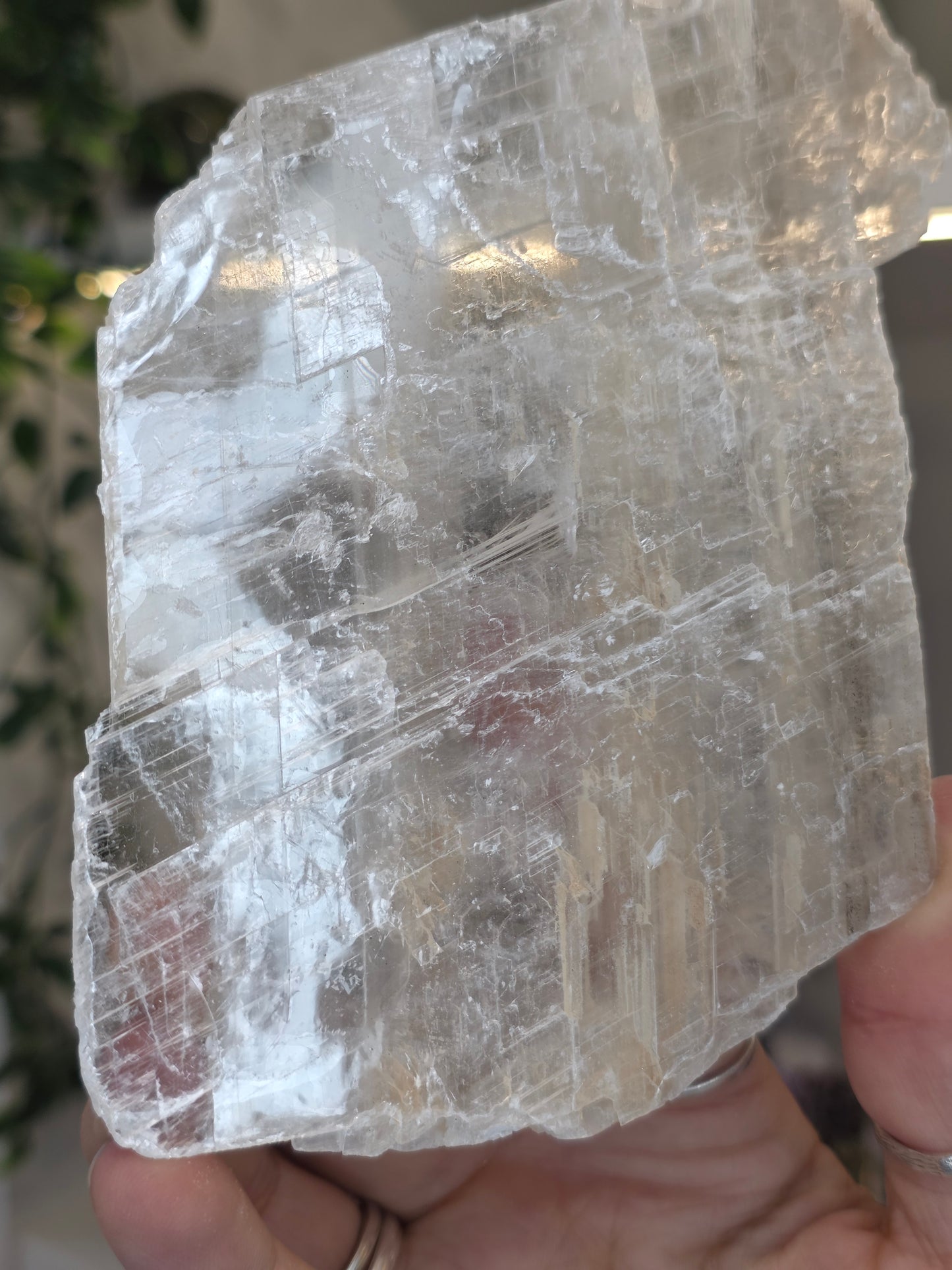 Raw Selenite Slice from Mexico - E