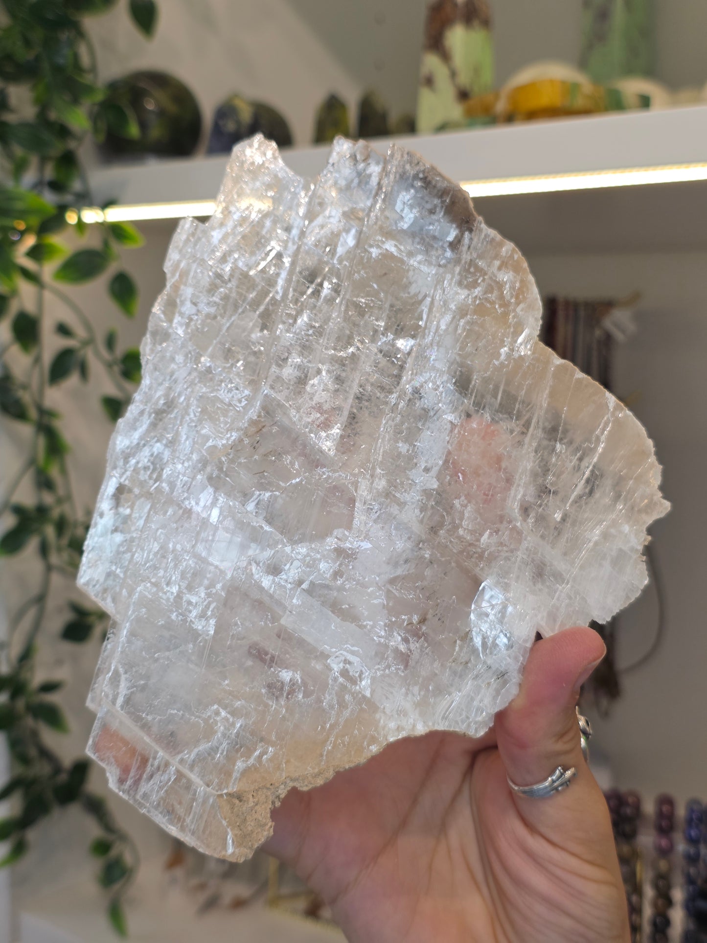 Raw Selenite Slice from Mexico - F