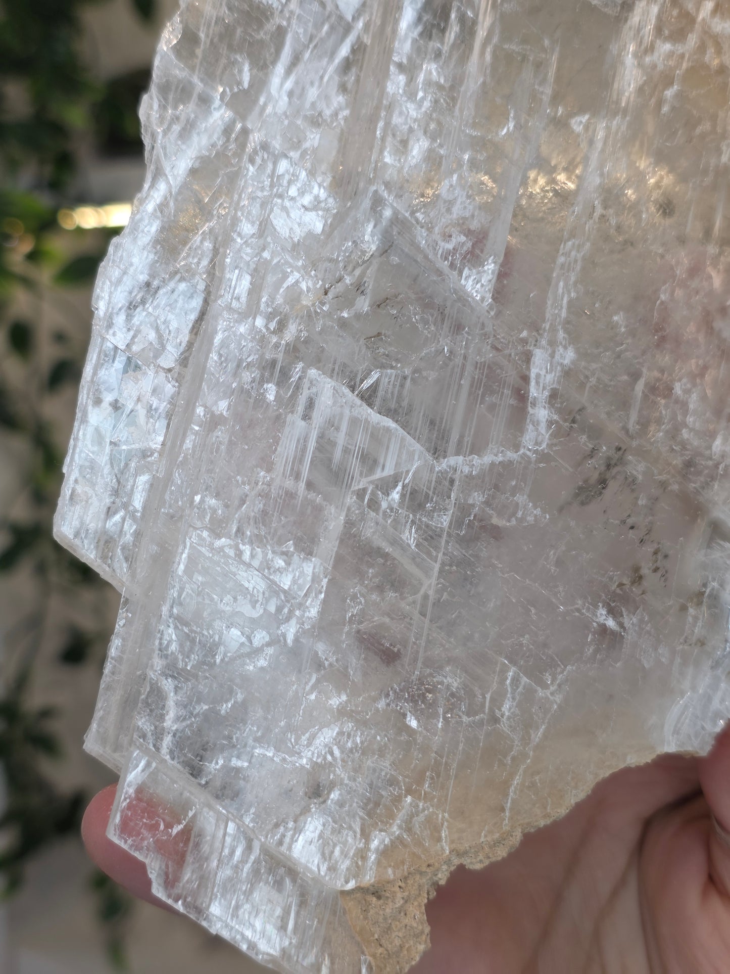 Raw Selenite Slice from Mexico - F