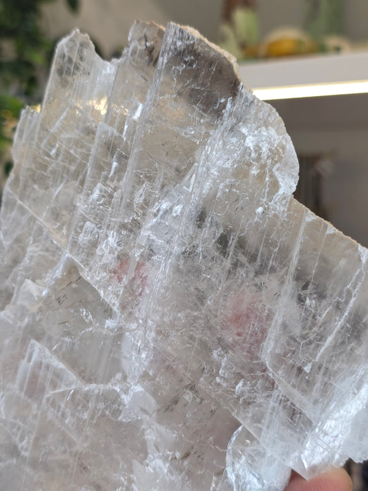 Raw Selenite Slice from Mexico - F