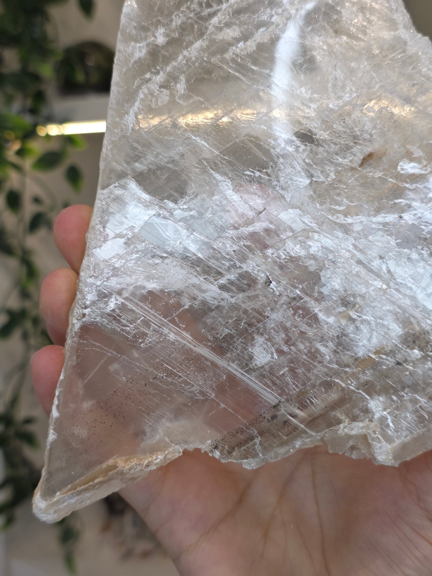 Raw Selenite Slice from Mexico - G