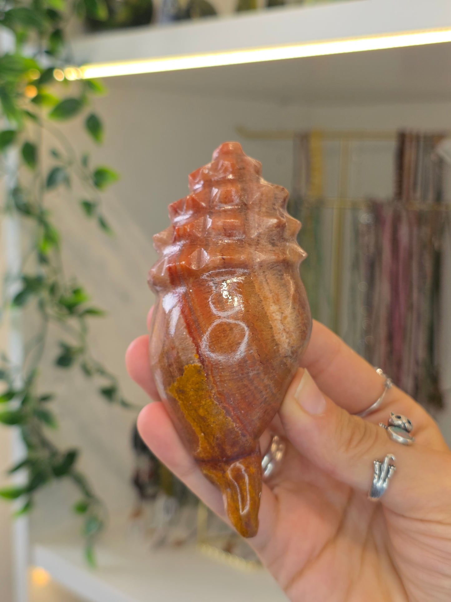 Mexican Onyx Calcite Carved Conch Shells