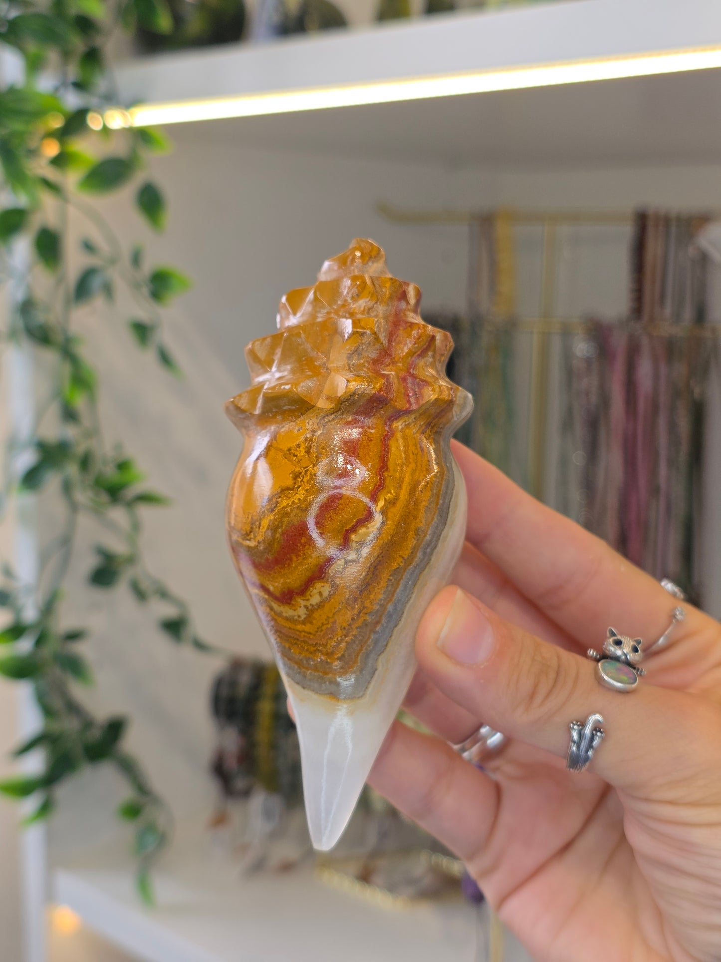 Mexican Onyx Calcite Carved Conch Shells