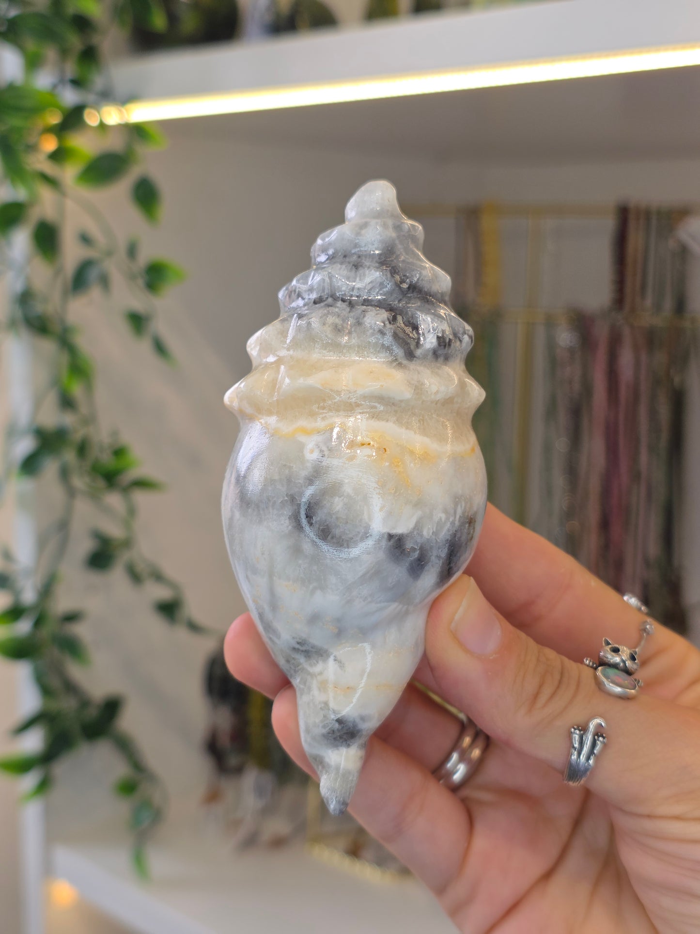 Mexican Onyx Calcite Carved Conch Shells