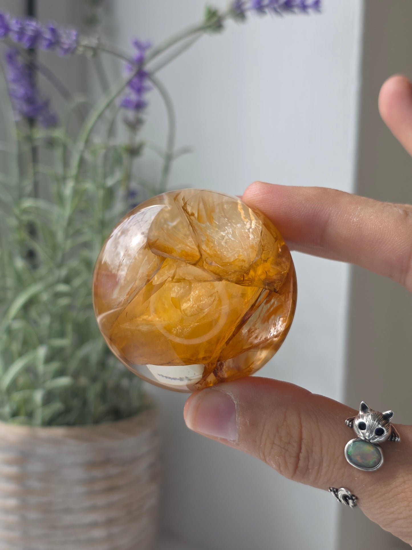 High Quality Golden Healer Sphere from Brazil - C