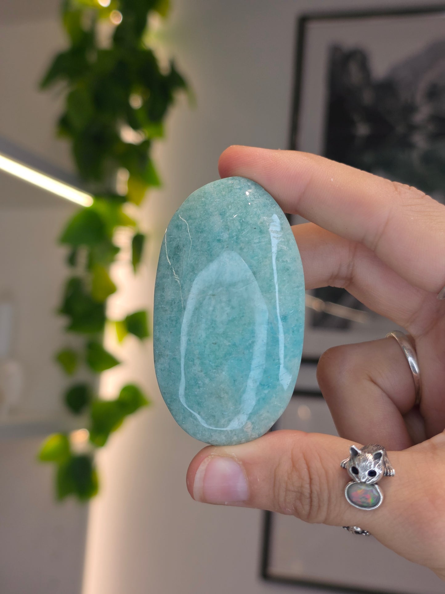 Flashy Amazonite Palms