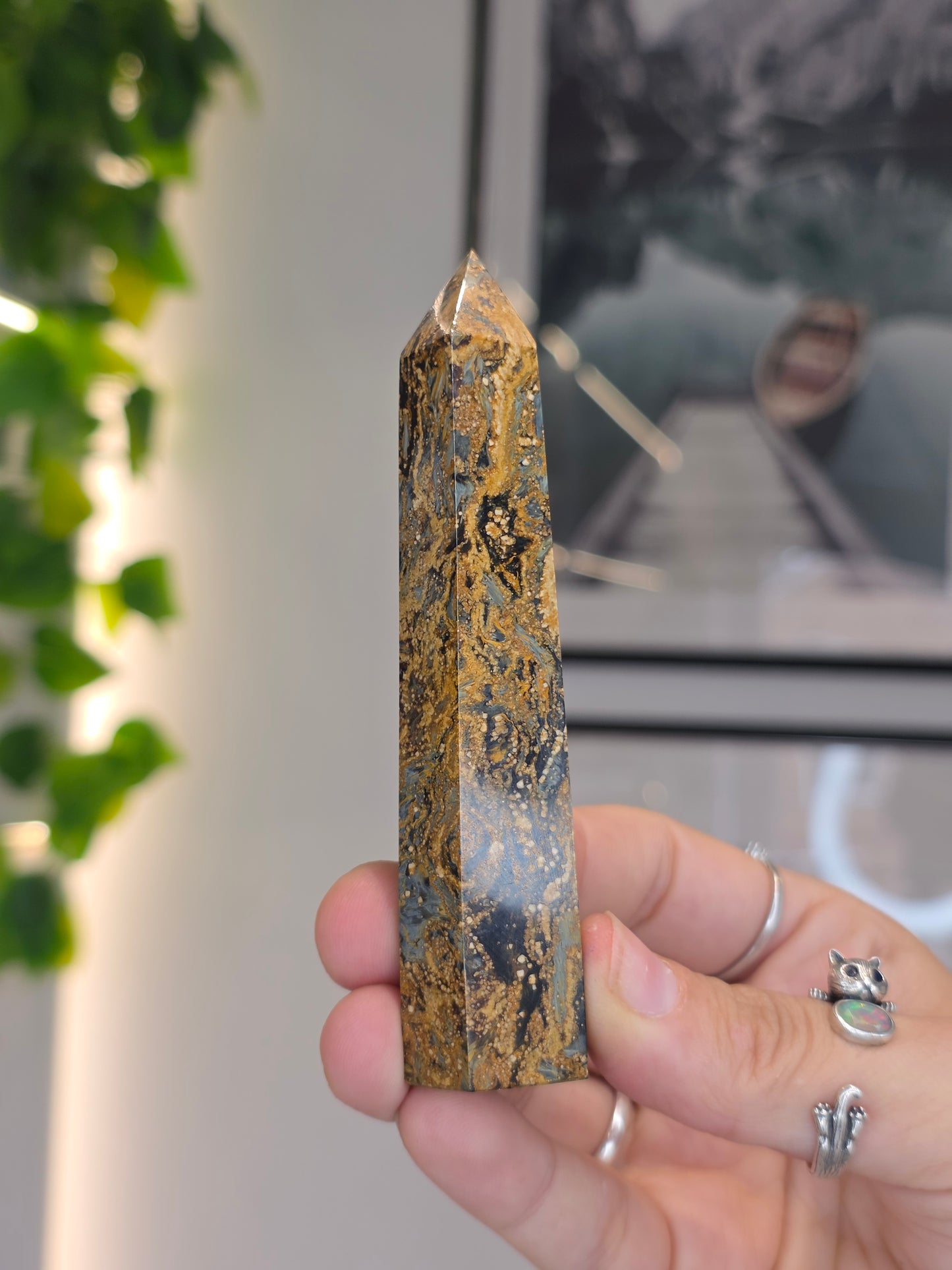 Pietersite Tower - B