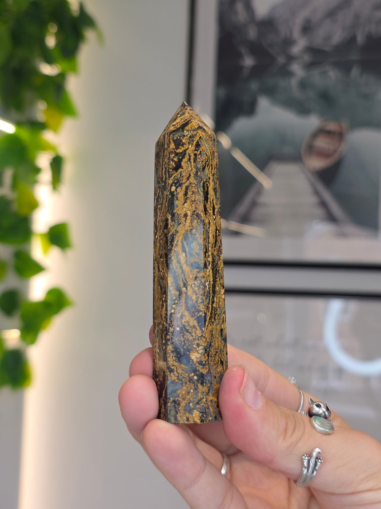 Pietersite Tower - B