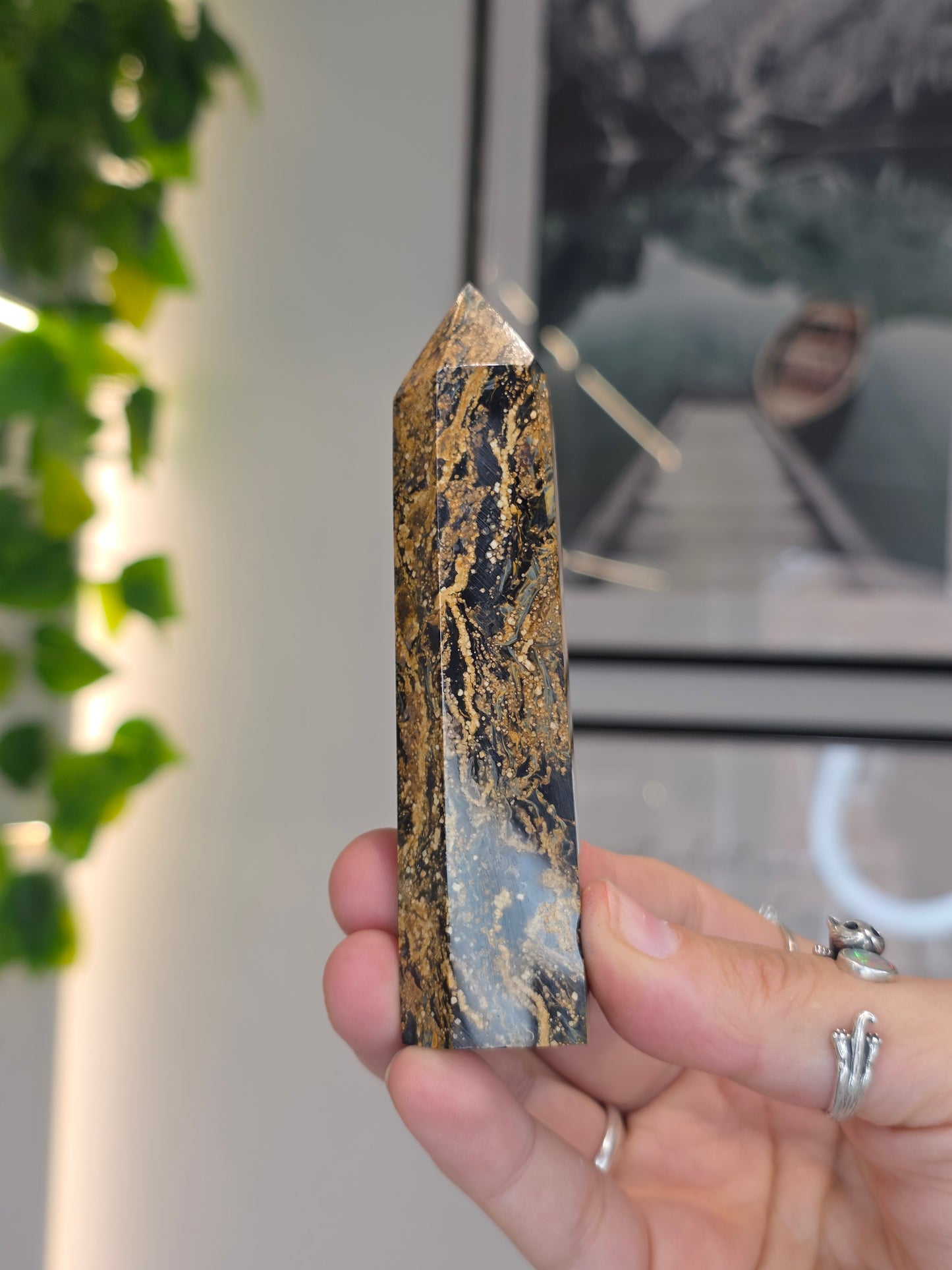Pietersite Tower - C