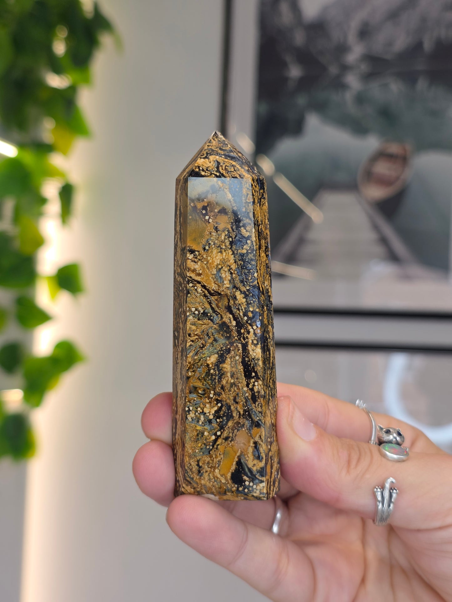 Pietersite Tower - D