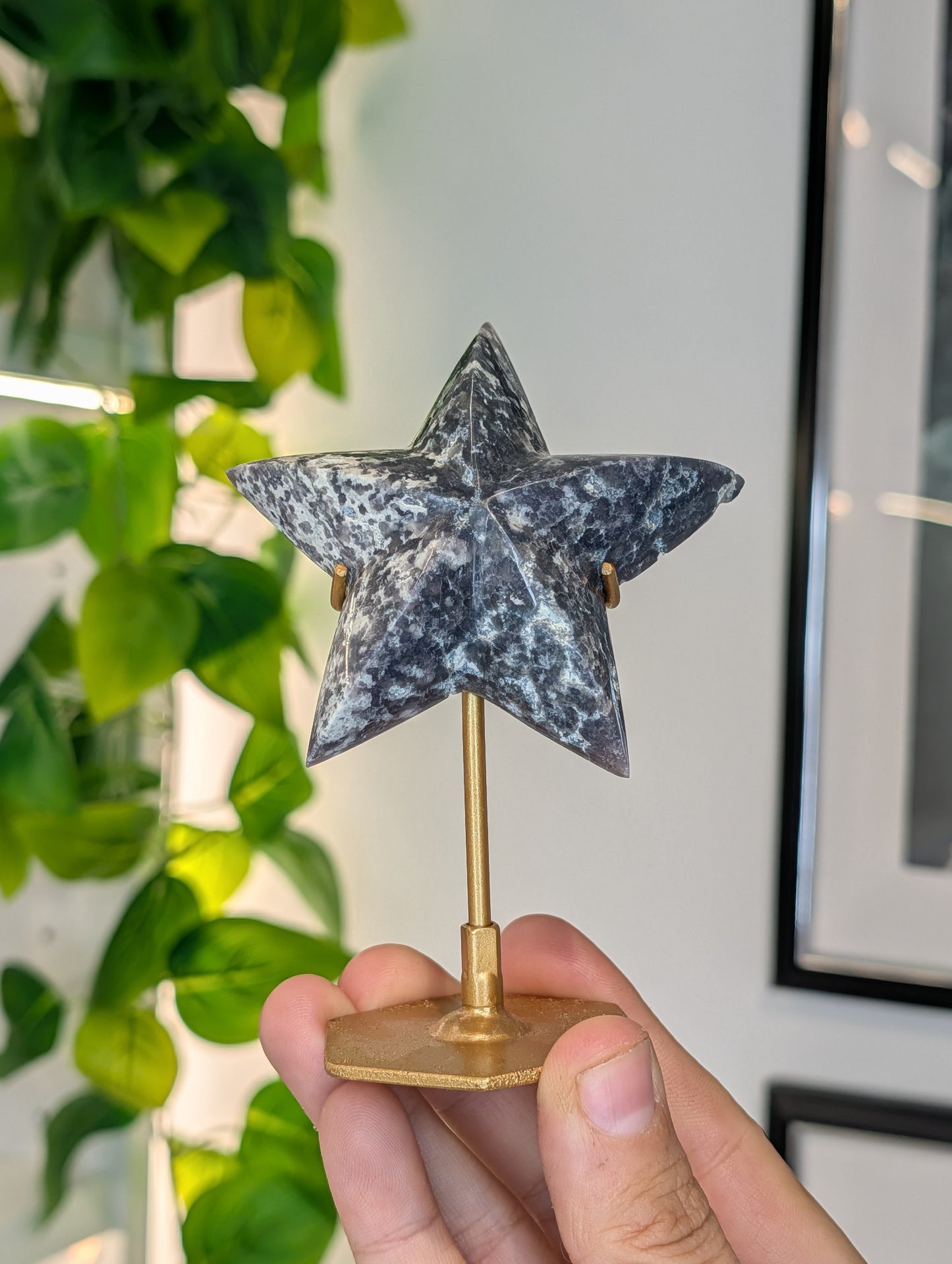 Various Indonesian Grape Agate 3D Star on Custom Stand