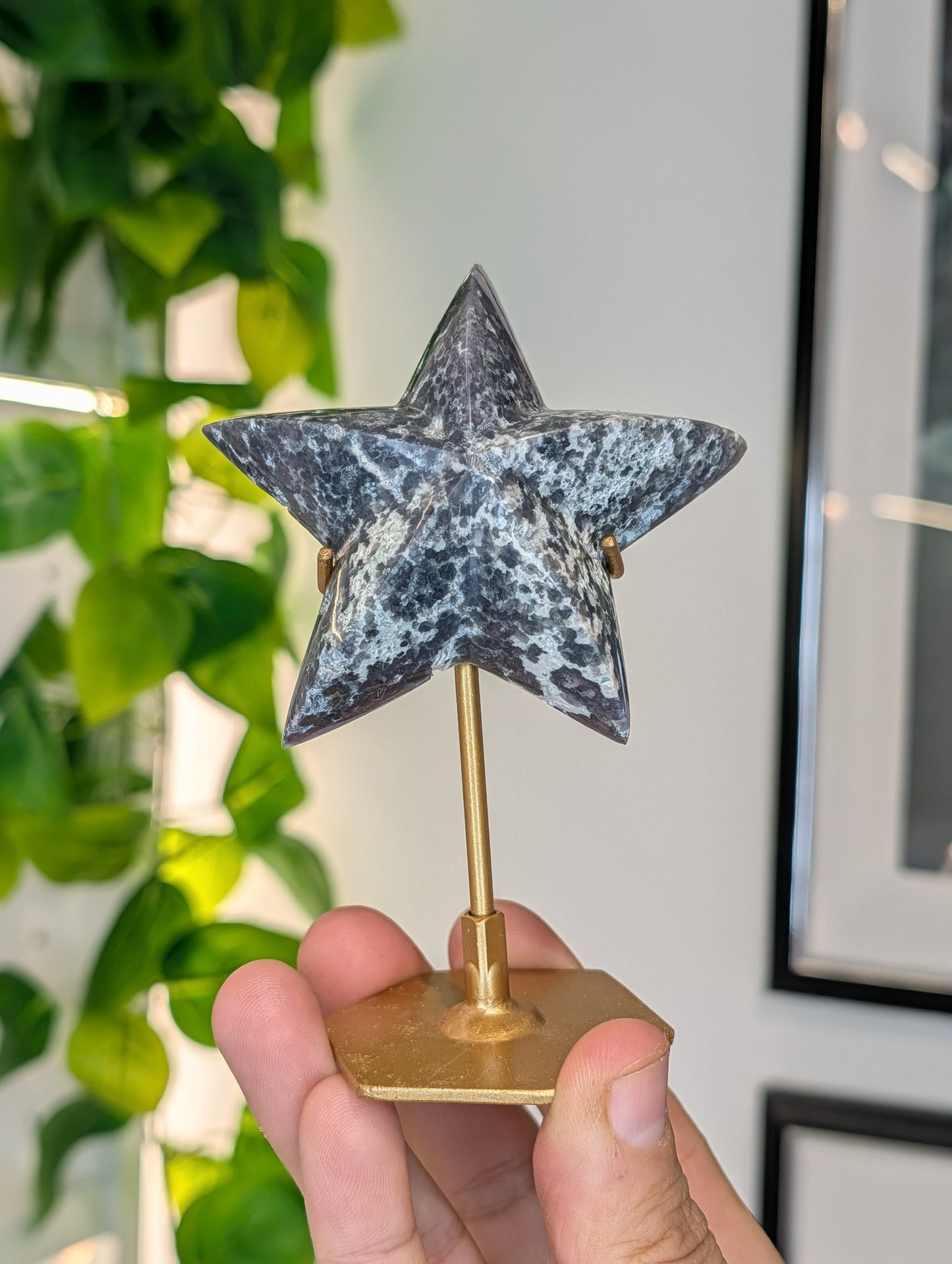 Various Indonesian Grape Agate 3D Star on Custom Stand