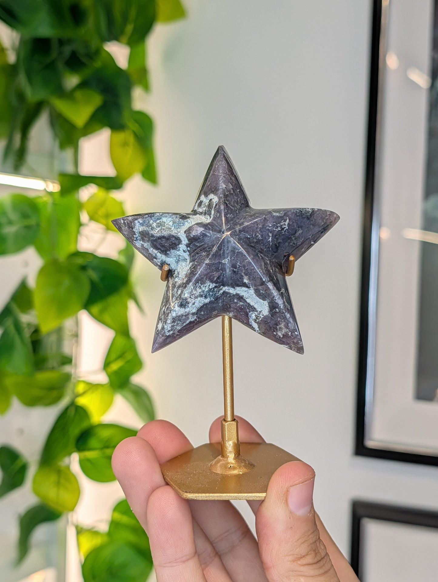 Various Indonesian Grape Agate 3D Star on Custom Stand