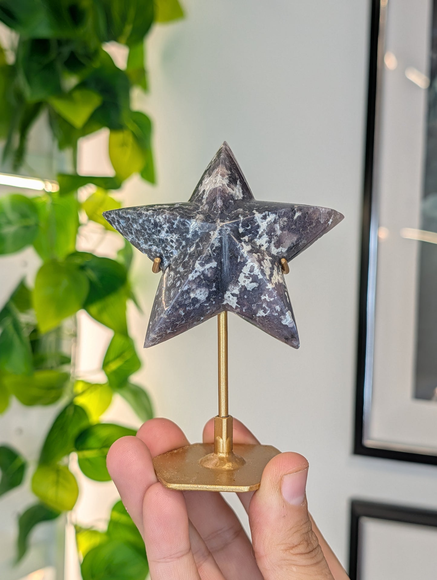 Various Indonesian Grape Agate 3D Star on Custom Stand