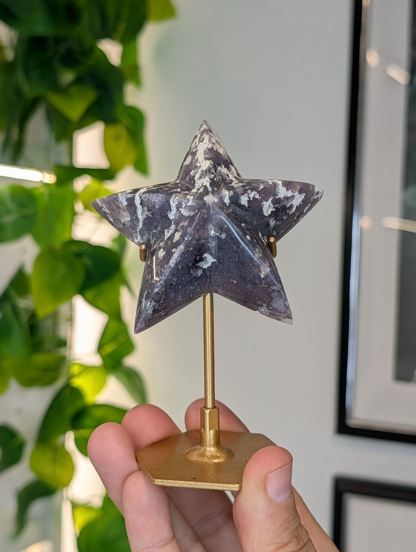 Various Indonesian Grape Agate 3D Star on Custom Stand