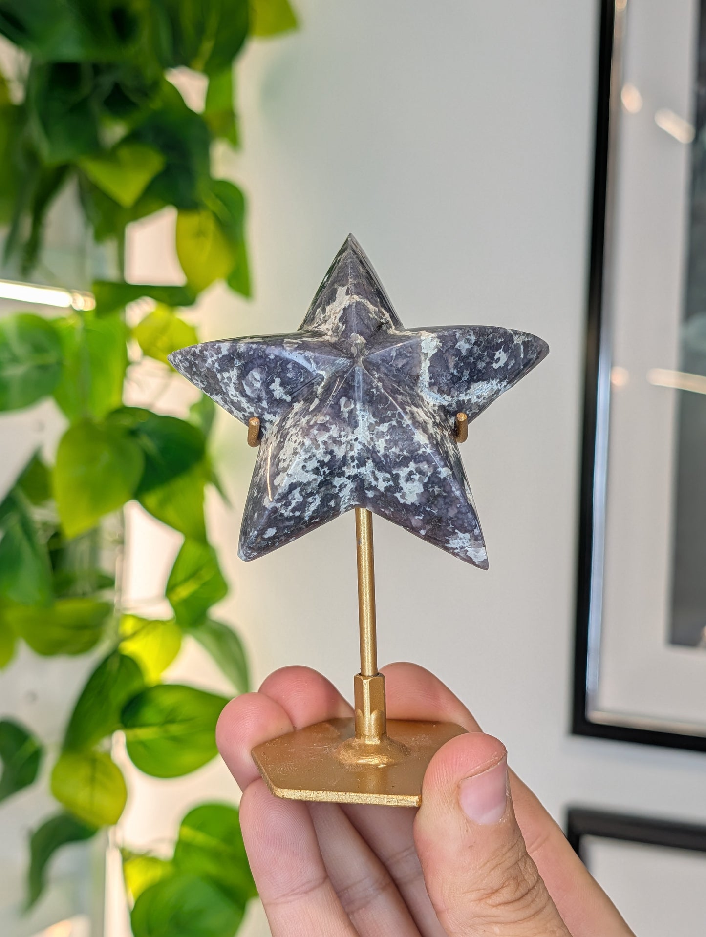 Various Indonesian Grape Agate 3D Star on Custom Stand