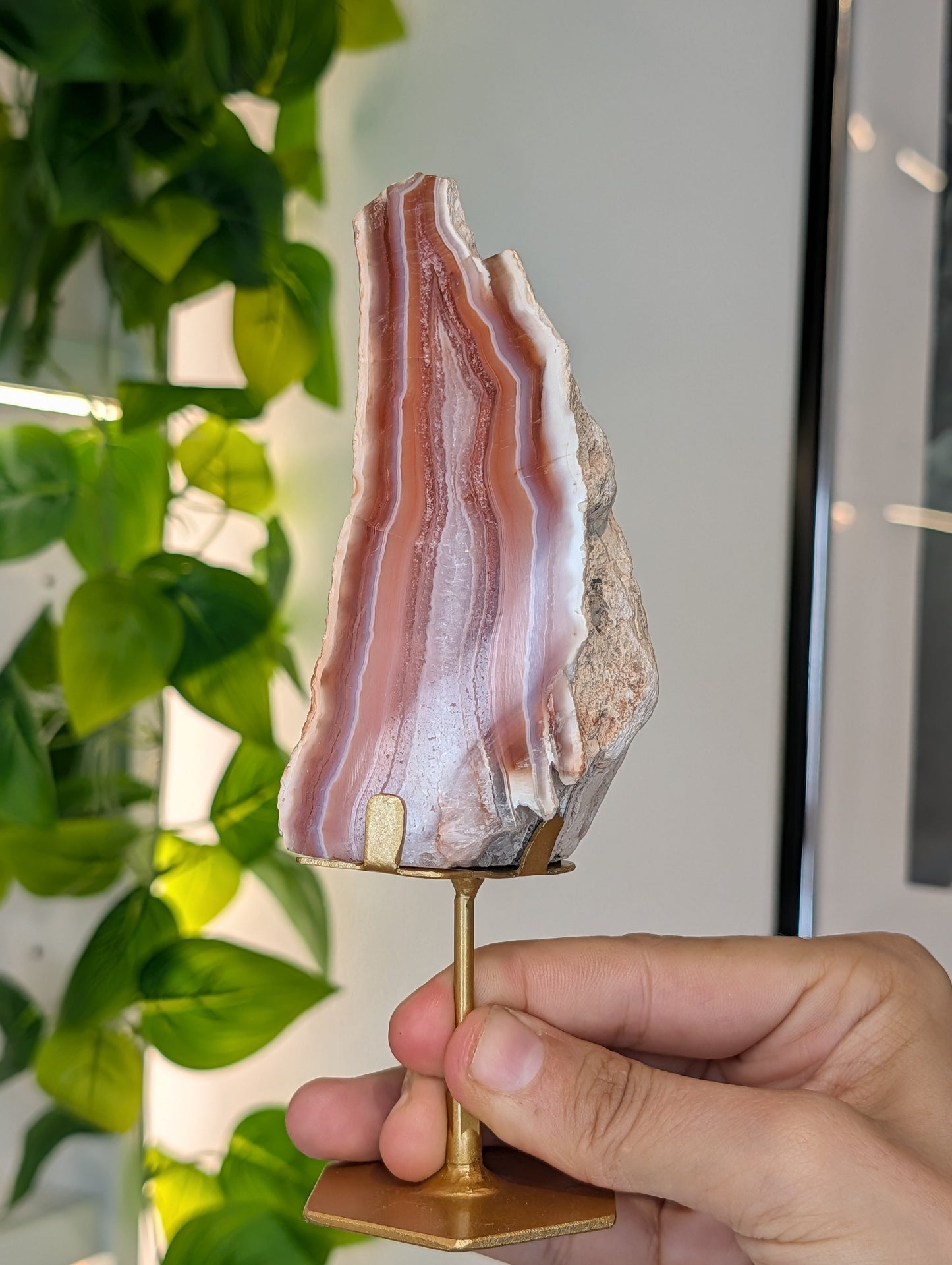 Indonesian Carnelian Half Raw Half Polished Freeform on Stand