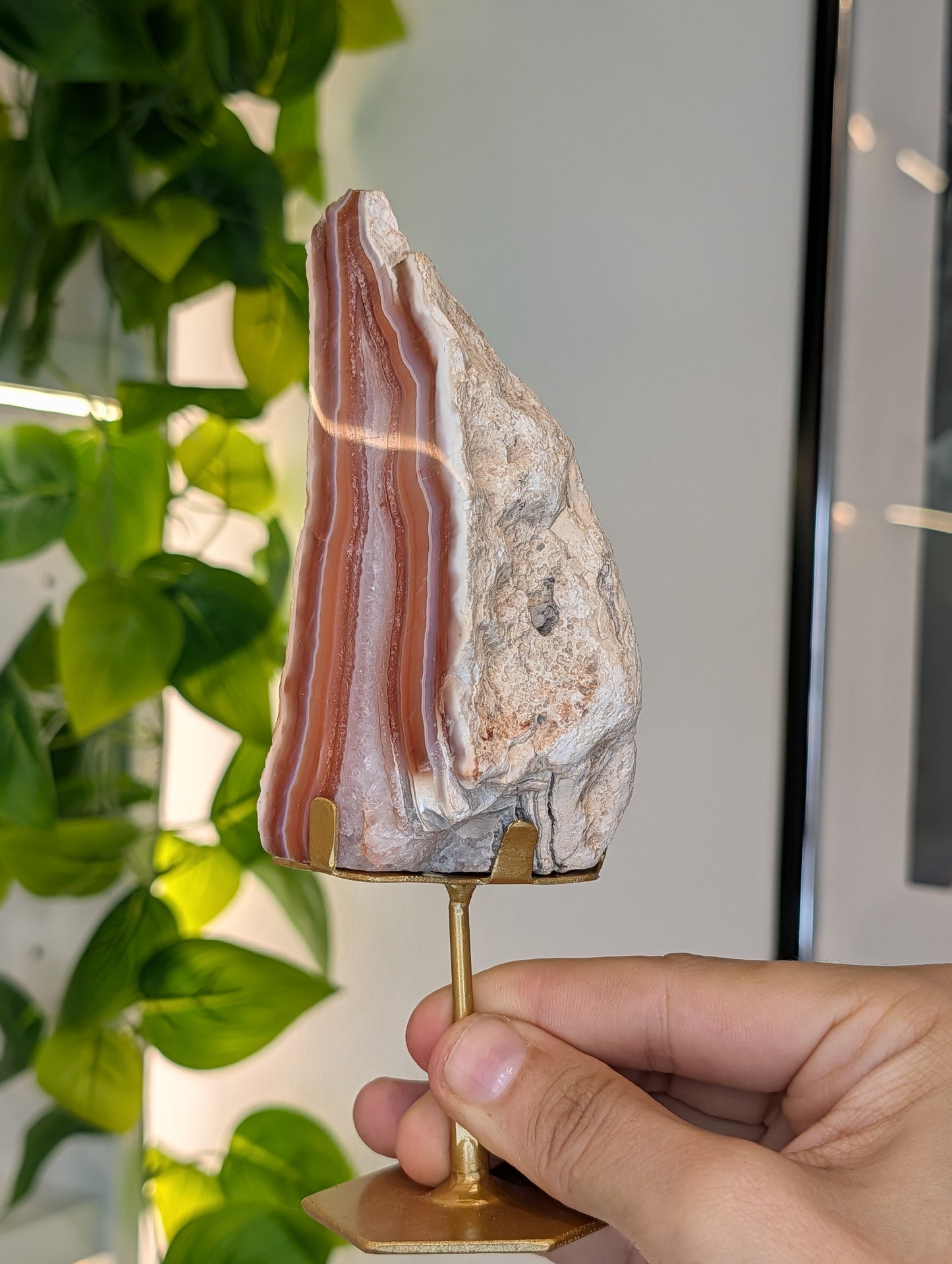 Indonesian Carnelian Half Raw Half Polished Freeform on Stand