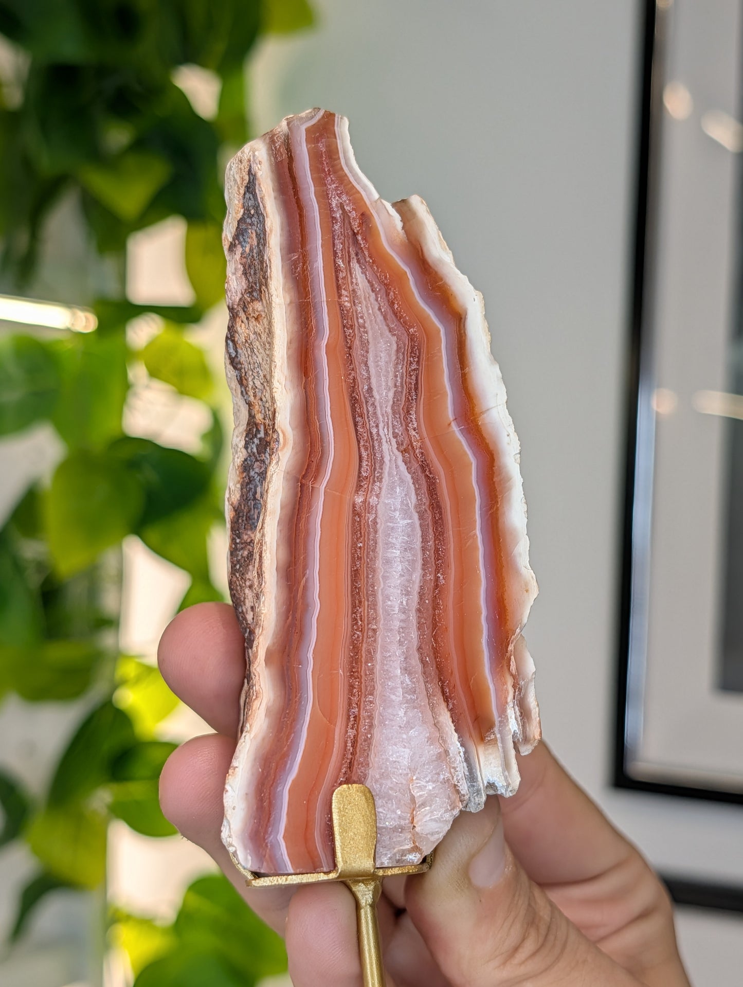 Indonesian Carnelian Half Raw Half Polished Freeform on Stand