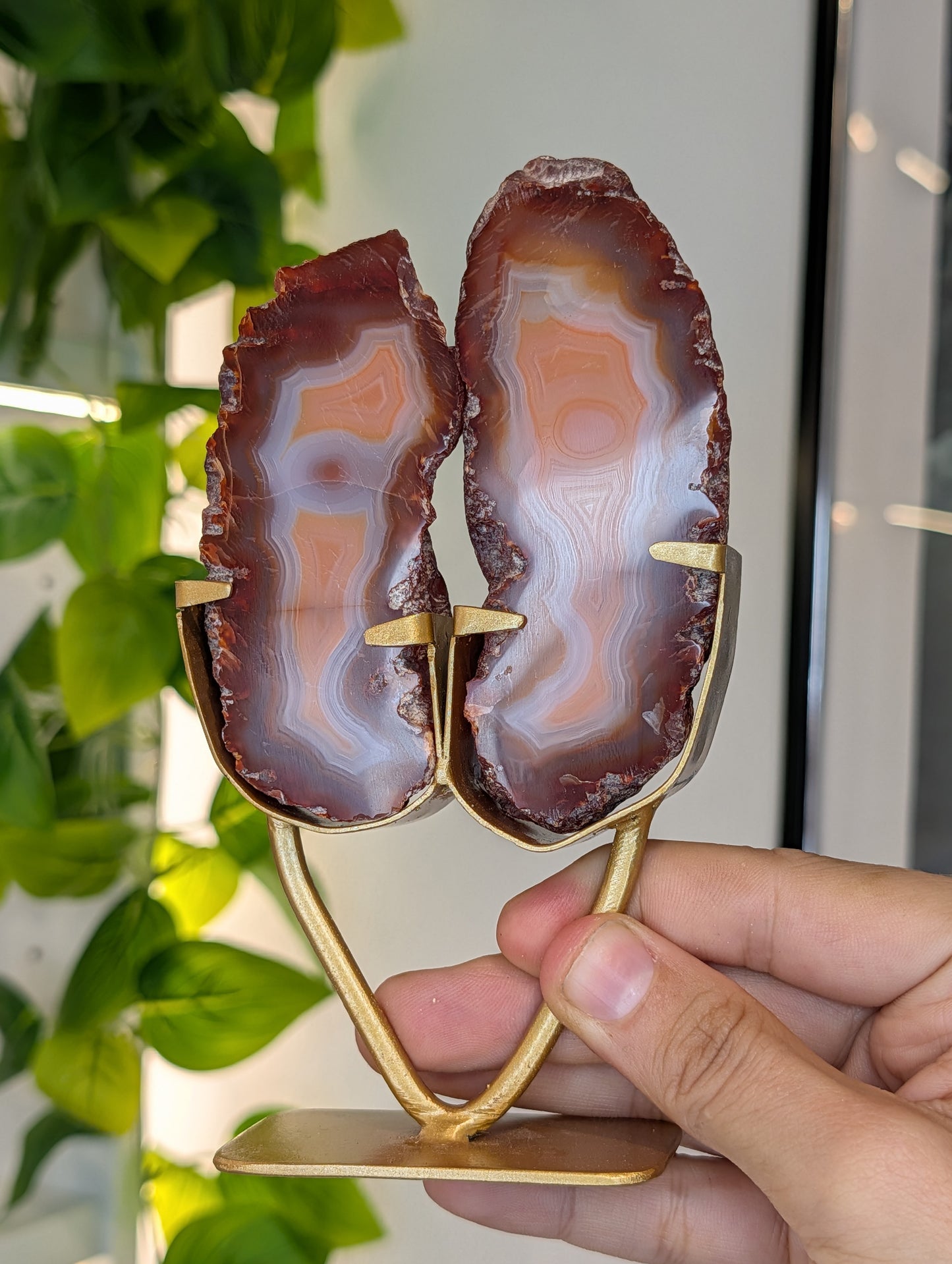 Indonesian Carnelian Half Raw Half Polished Freeform on Stand