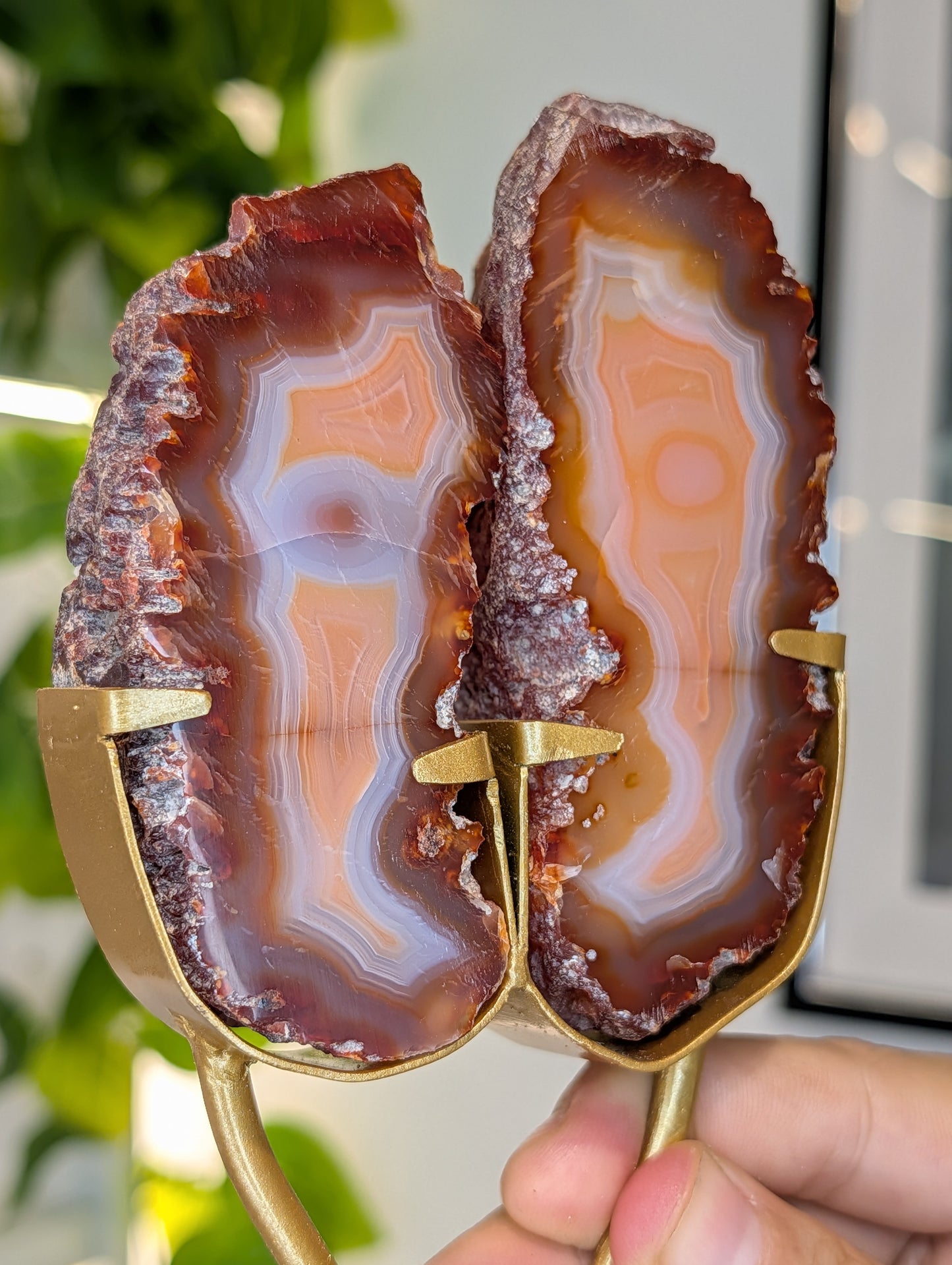 Indonesian Carnelian Half Raw Half Polished Freeform on Stand